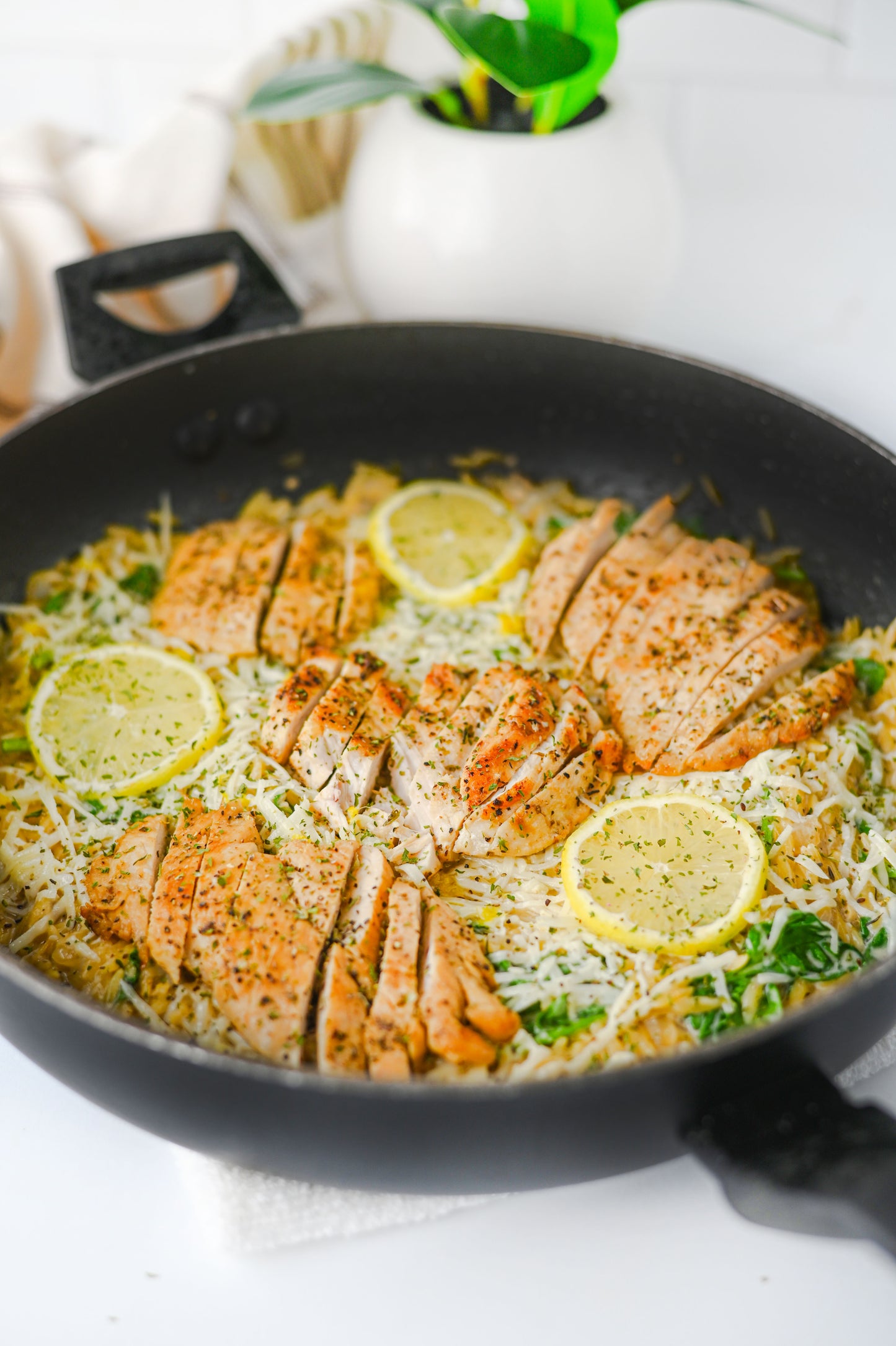 Lemon Chicken Orzo Set #3