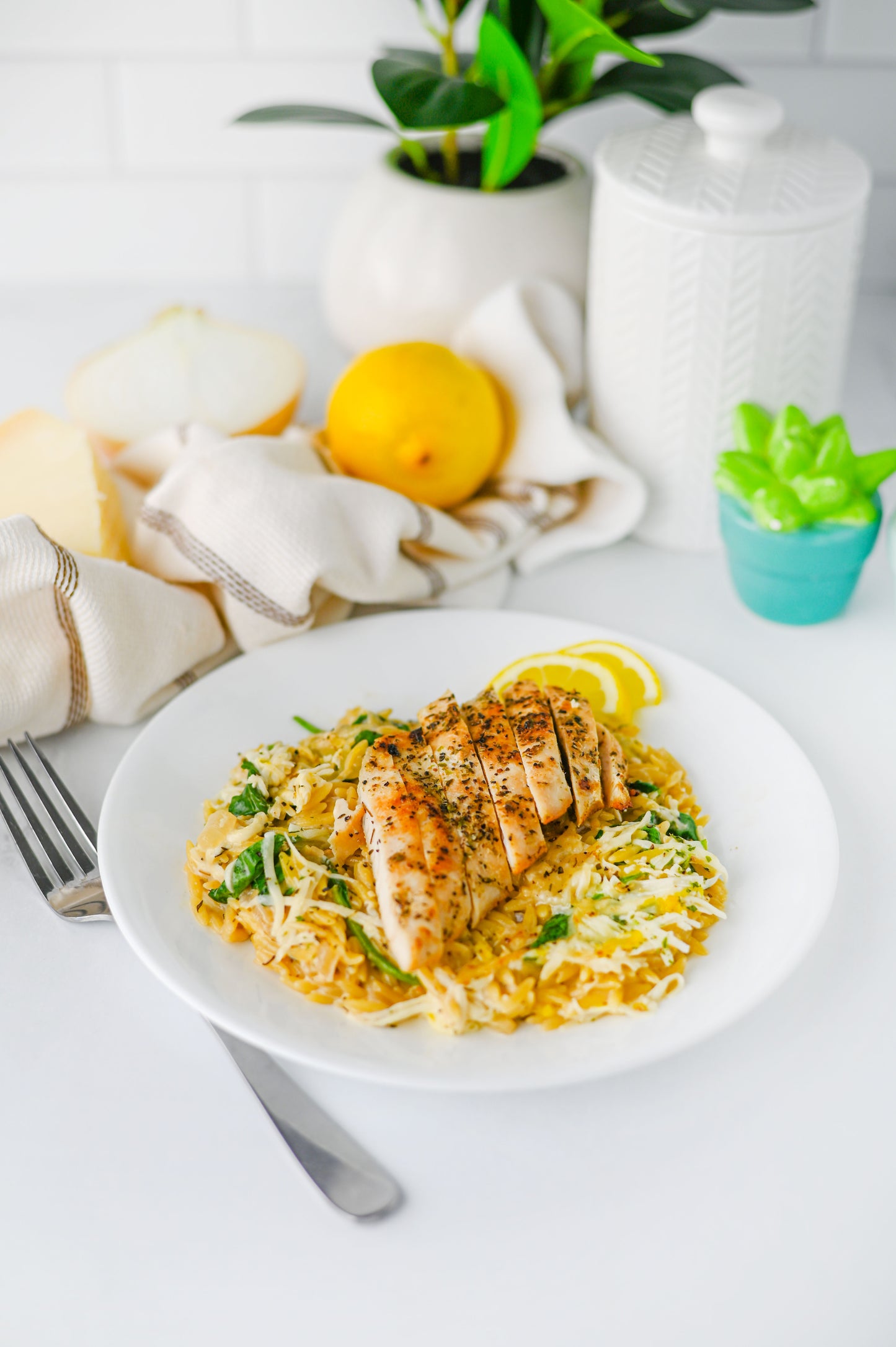 Lemon Chicken Orzo Set #3