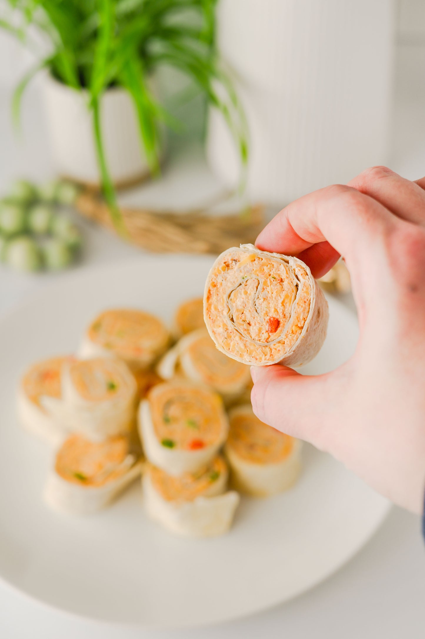 Mexican Pinwheels Set #3