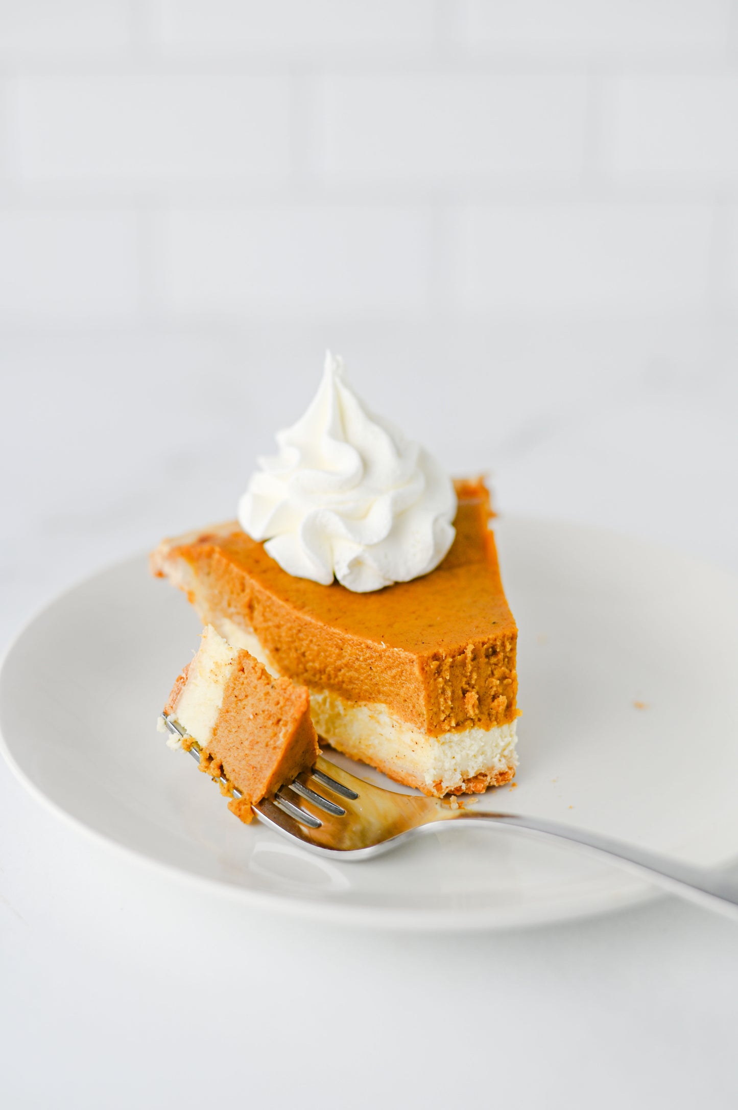 Pumpkin Cheesecake Pie Set #3