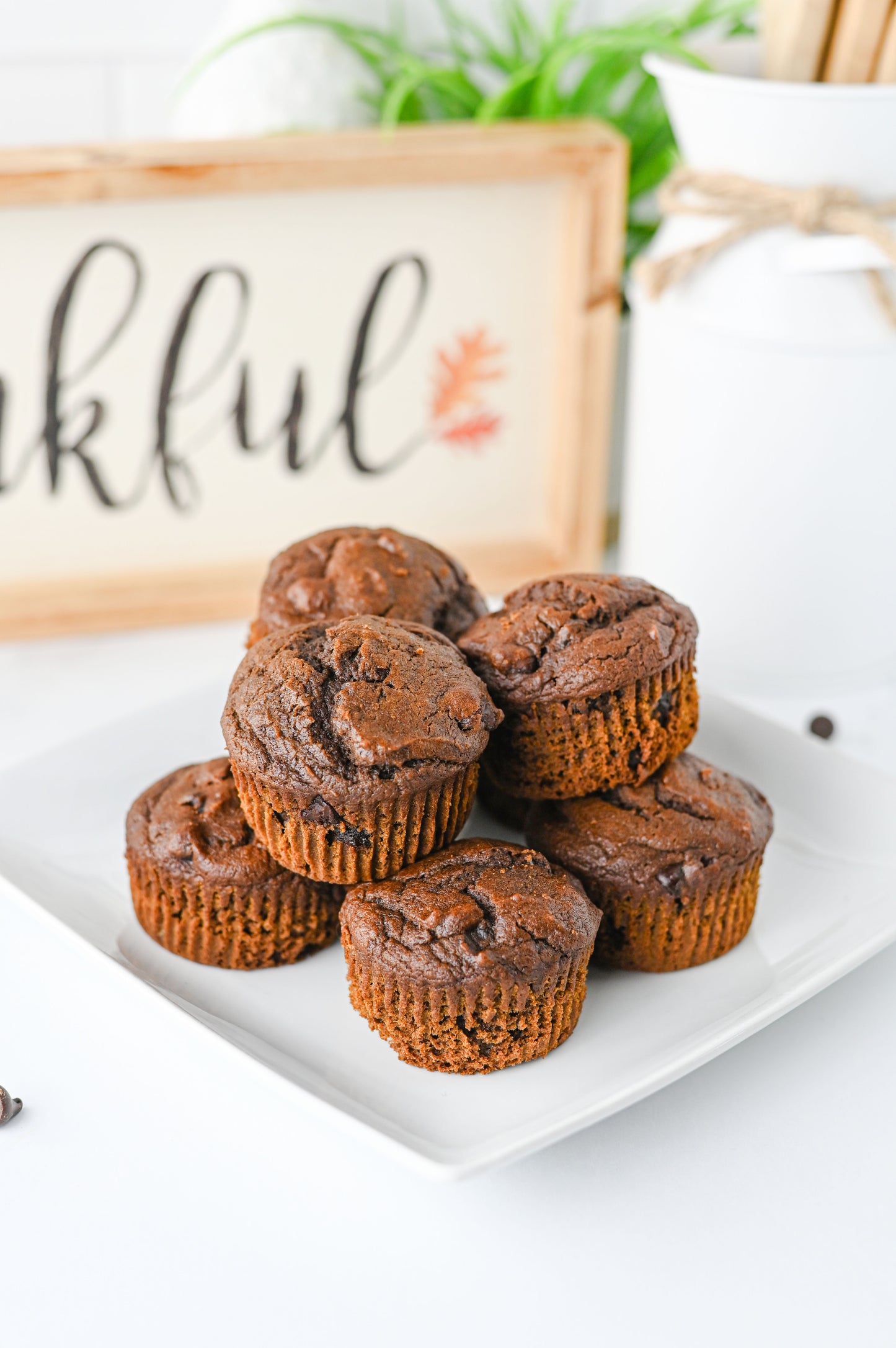 Pumpkin Chocolate Muffins Set #3