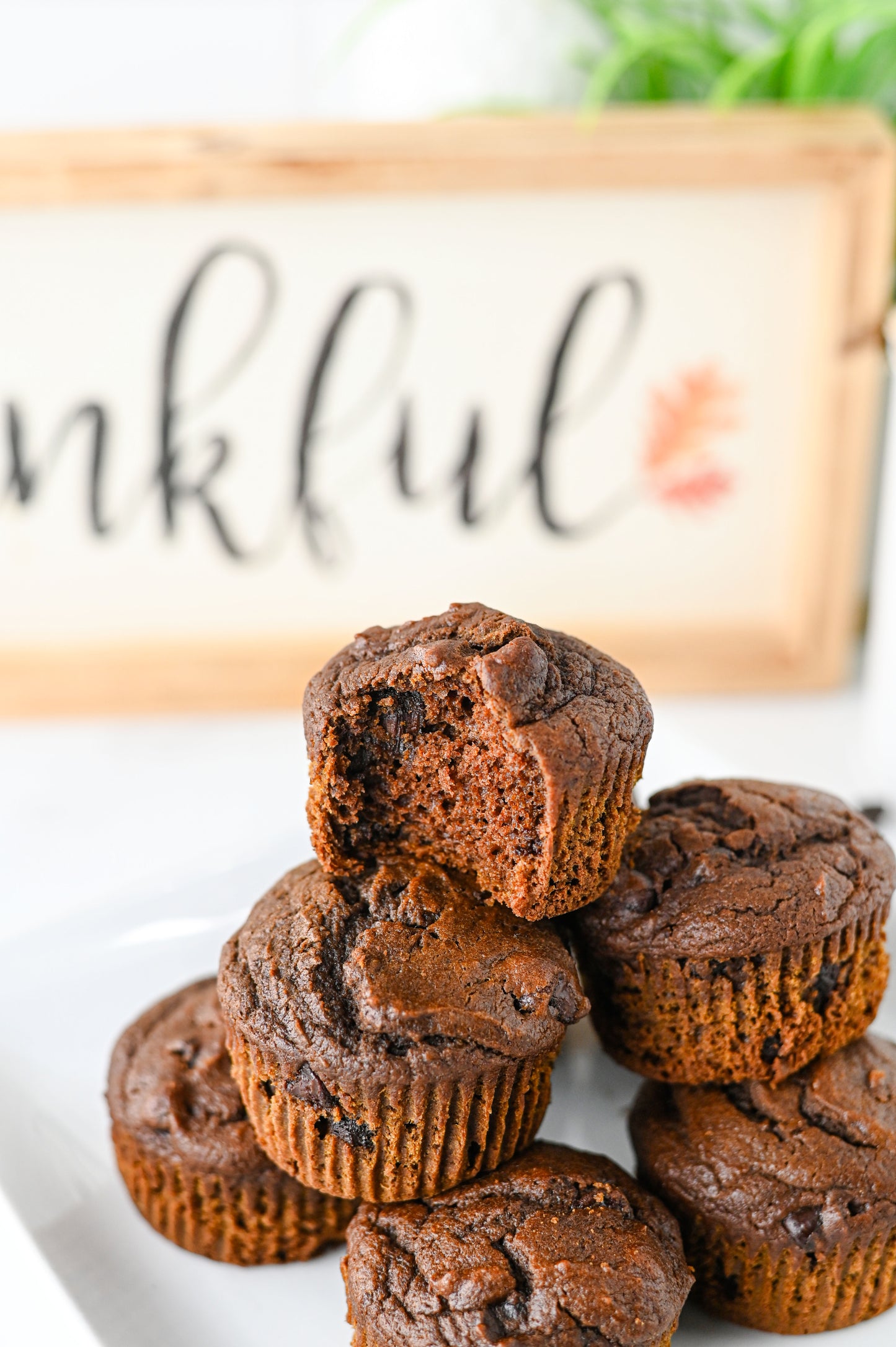 Pumpkin Chocolate Muffins Set #3