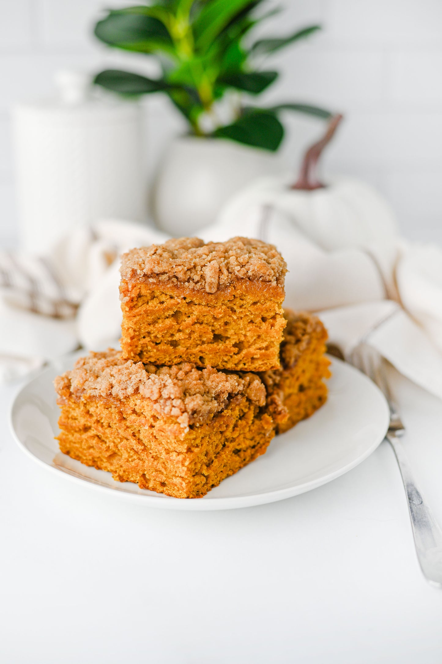 Pumpkin Coffee Cake Set #3