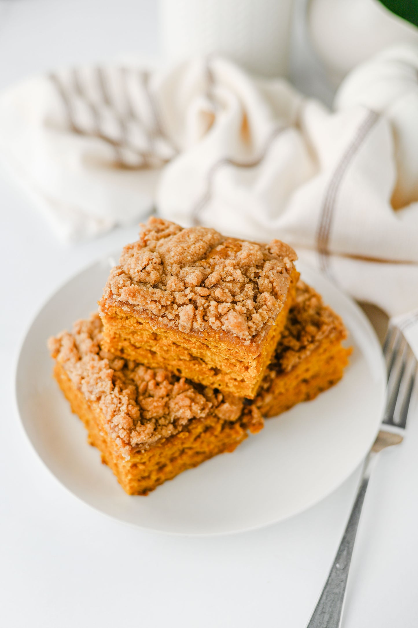 Pumpkin Coffee Cake Set #3