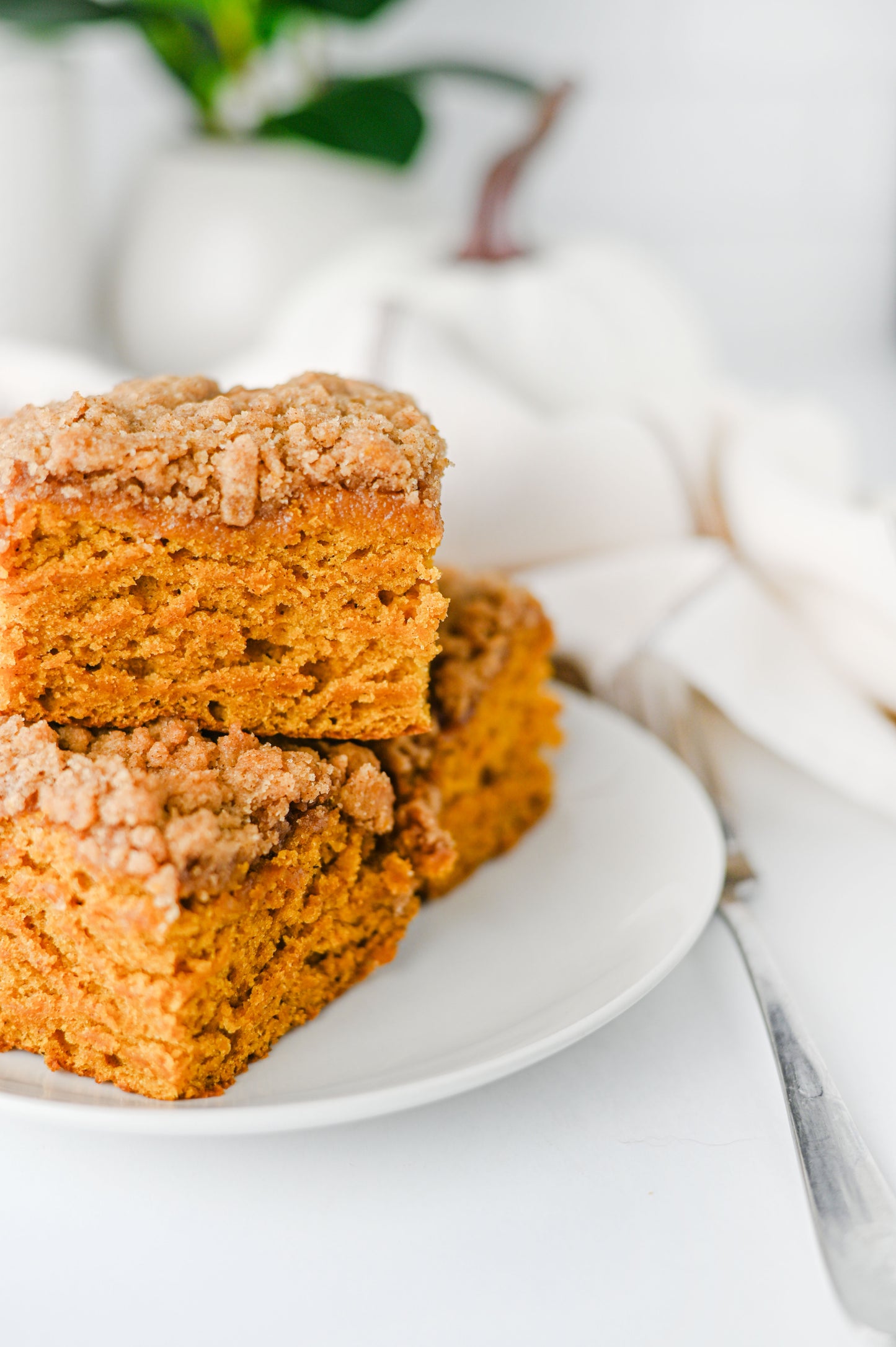 Pumpkin Coffee Cake Set #3