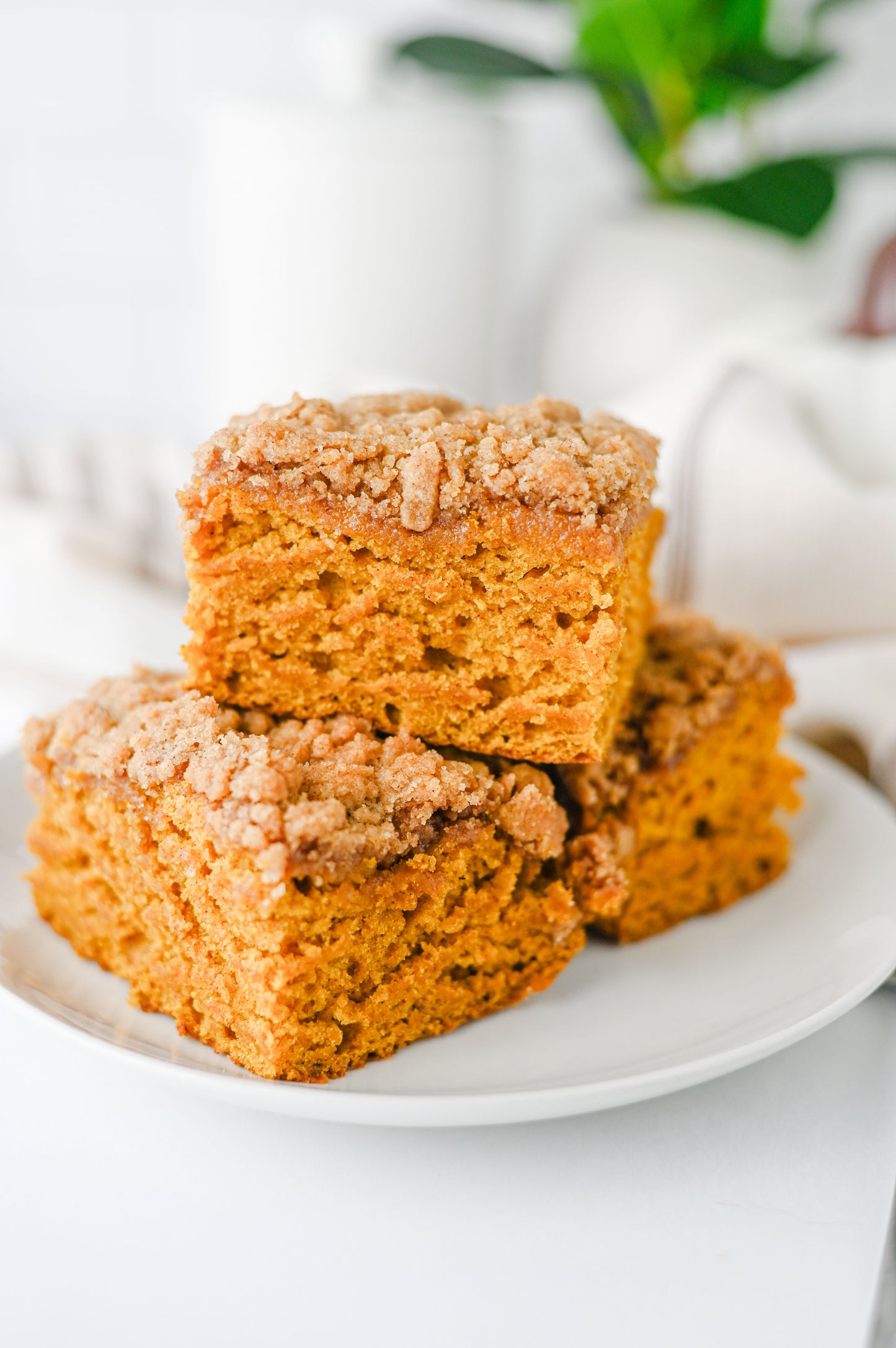 Pumpkin Coffee Cake Set #3