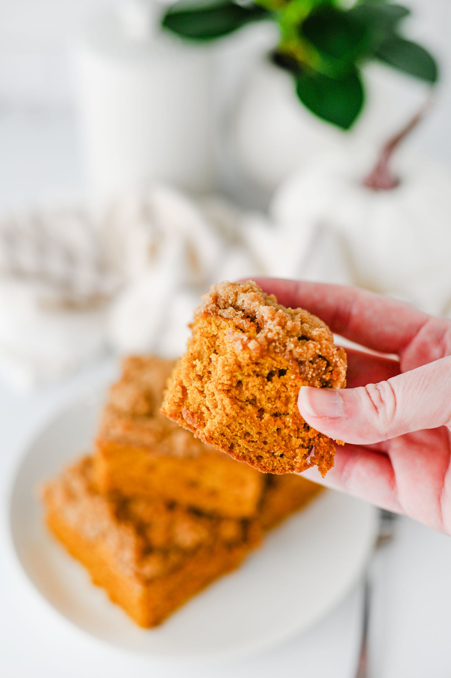 Pumpkin Coffee Cake Set #3