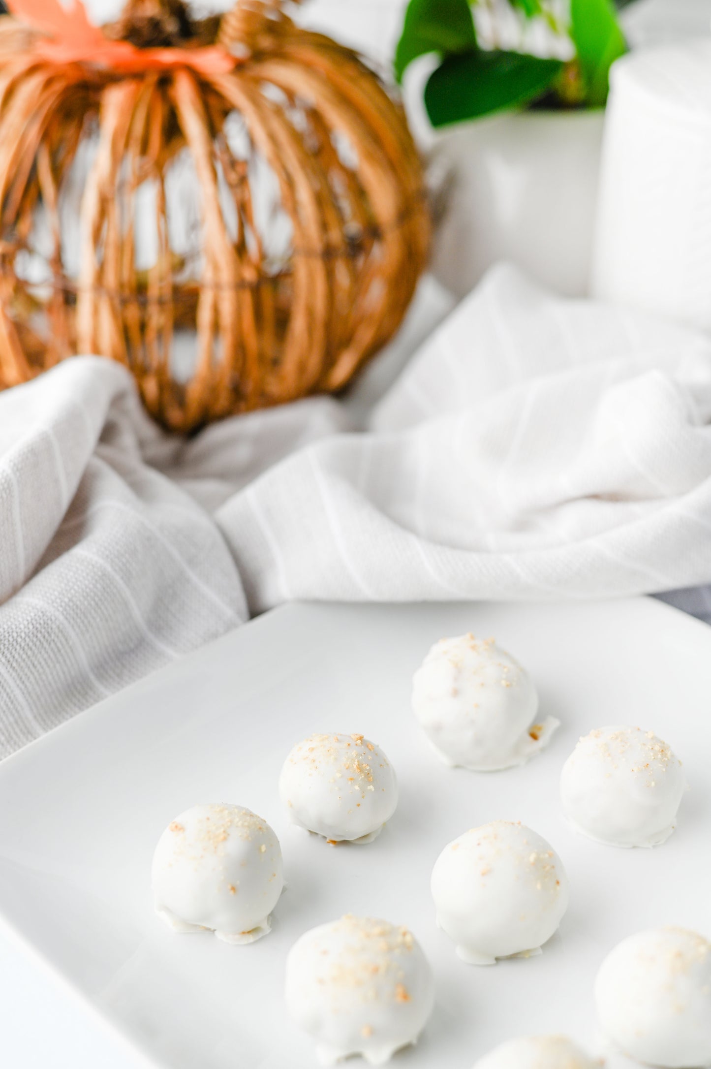 Pumpkin Pie Truffles Set #3