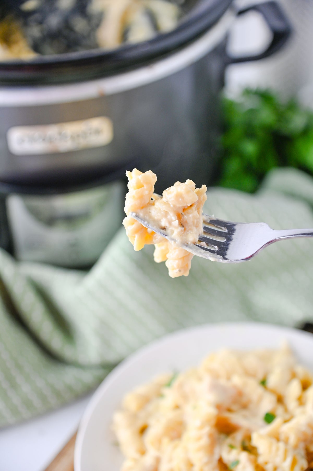 Slow Cooker Ranch Chicken Set #3