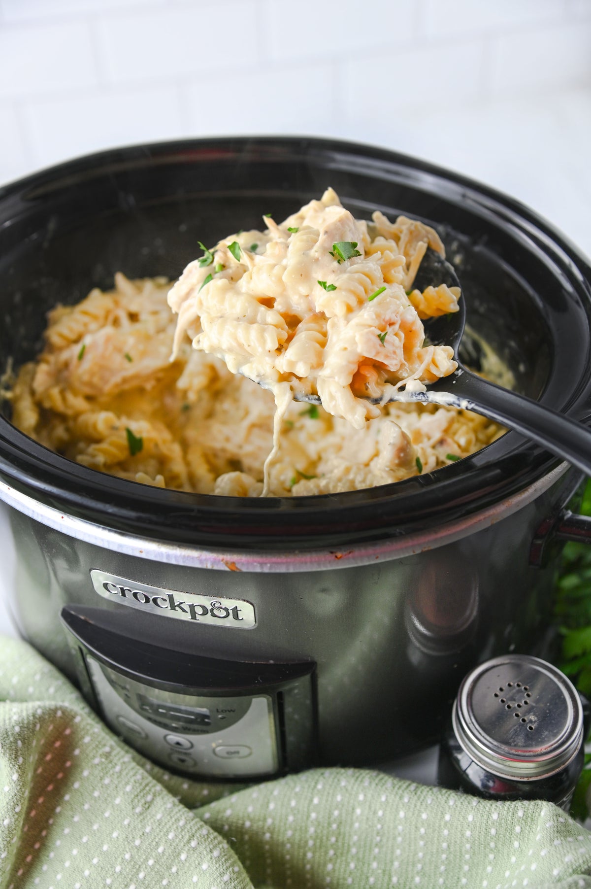 Slow Cooker Ranch Chicken Set #3