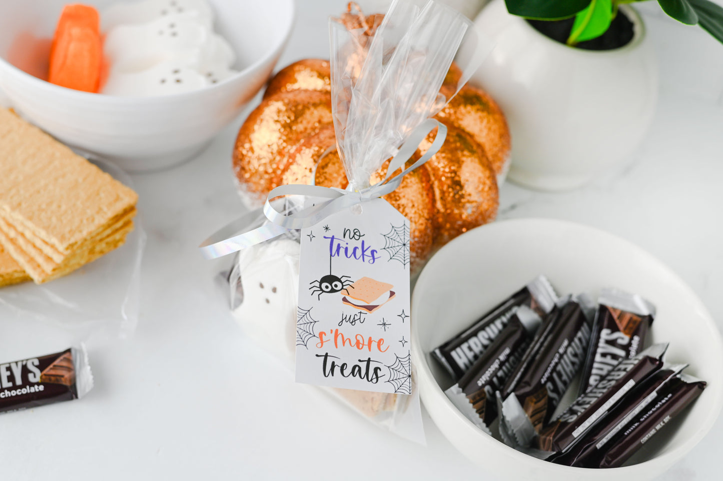S'more Treats Treat Bag Set #3