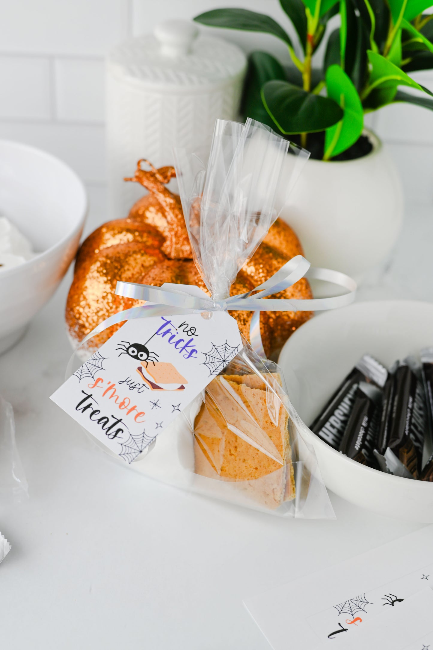 S'more Treats Treat Bag Set #3