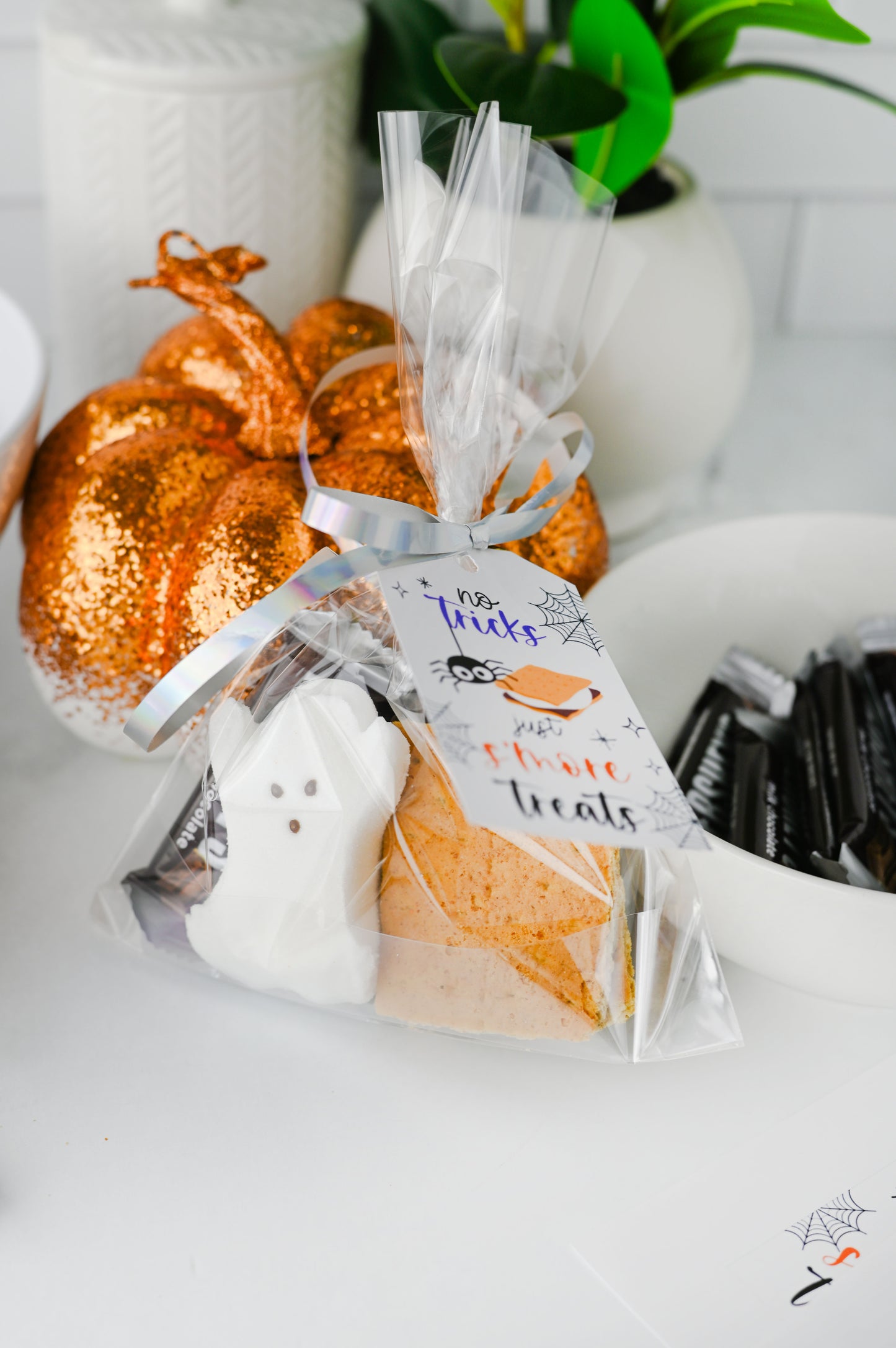 S'more Treats Treat Bag Set #3
