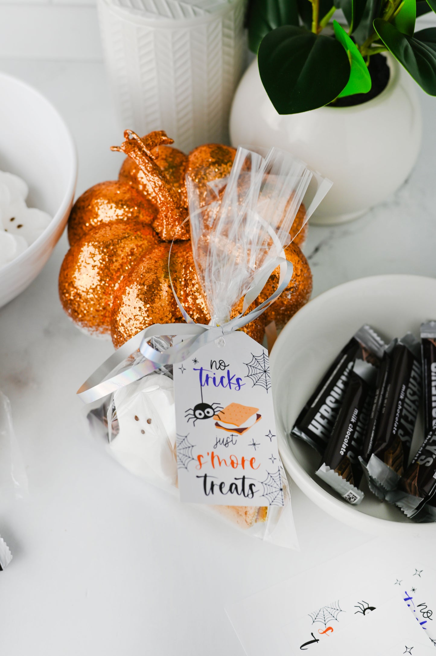 S'more Treats Treat Bag Set #3