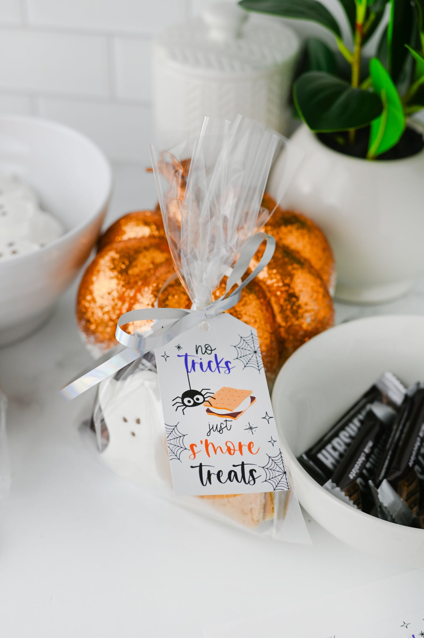 S'more Treats Treat Bag Set #3