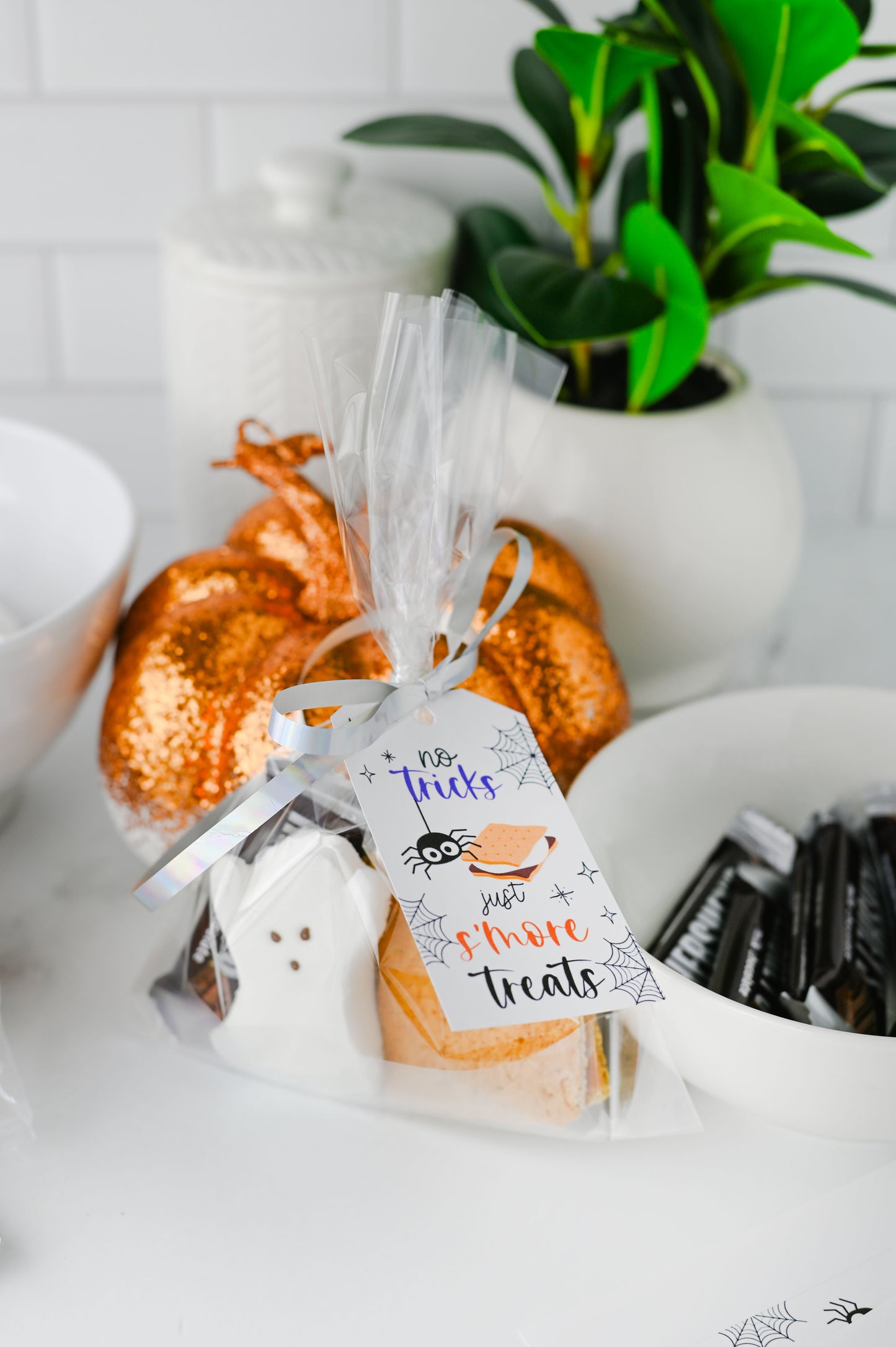 S'more Treats Treat Bag Set #3
