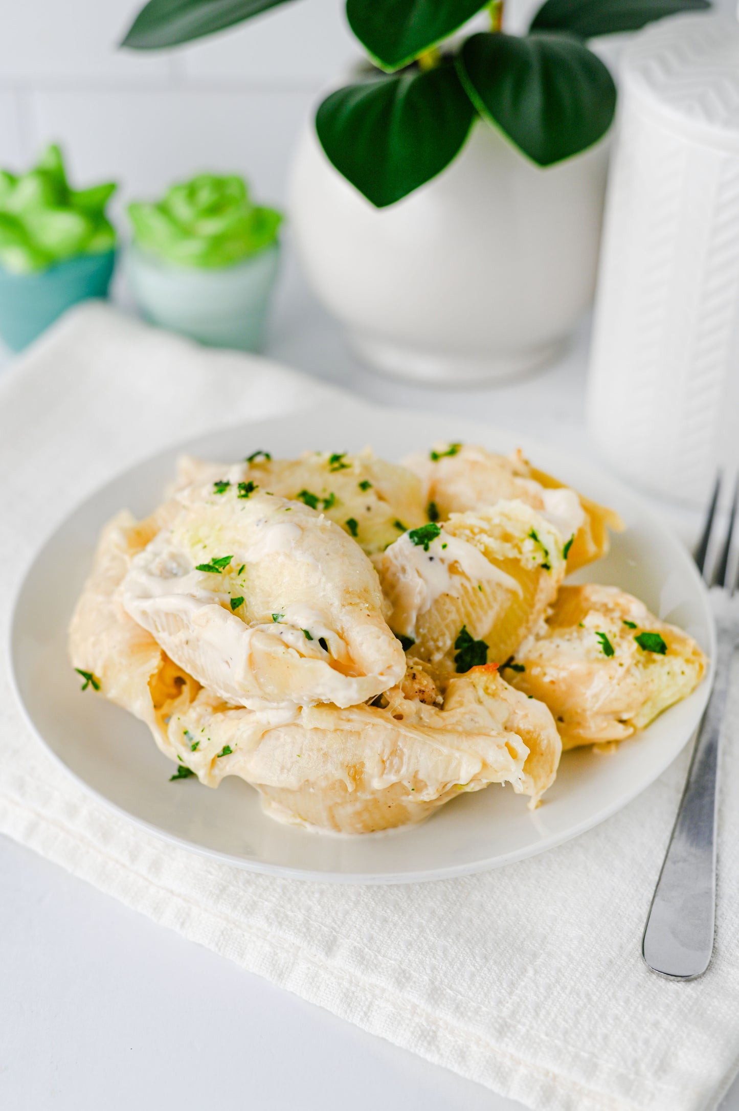Alfredo Stuffed Shells Set #4
