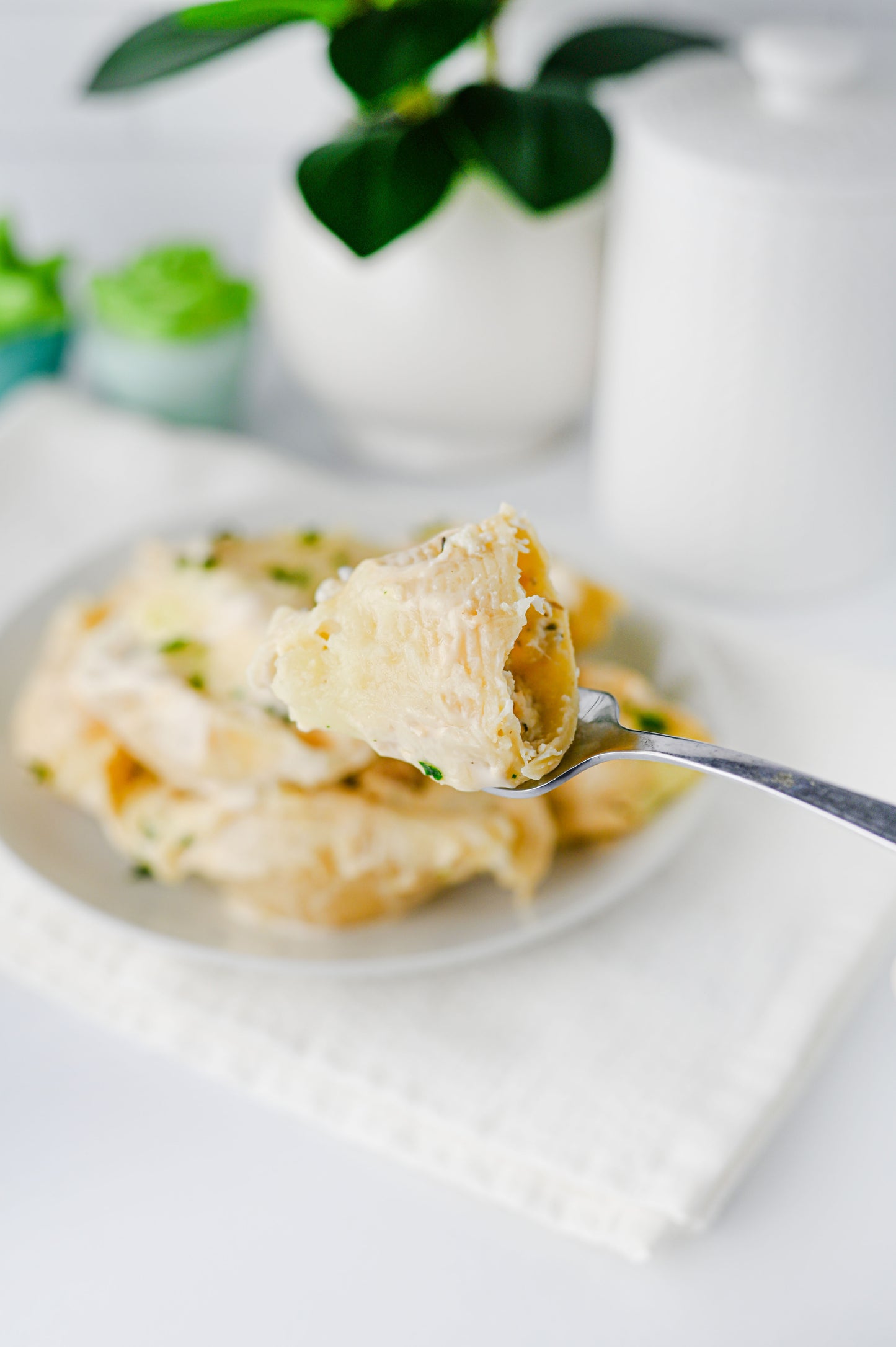 Alfredo Stuffed Shells Set #4