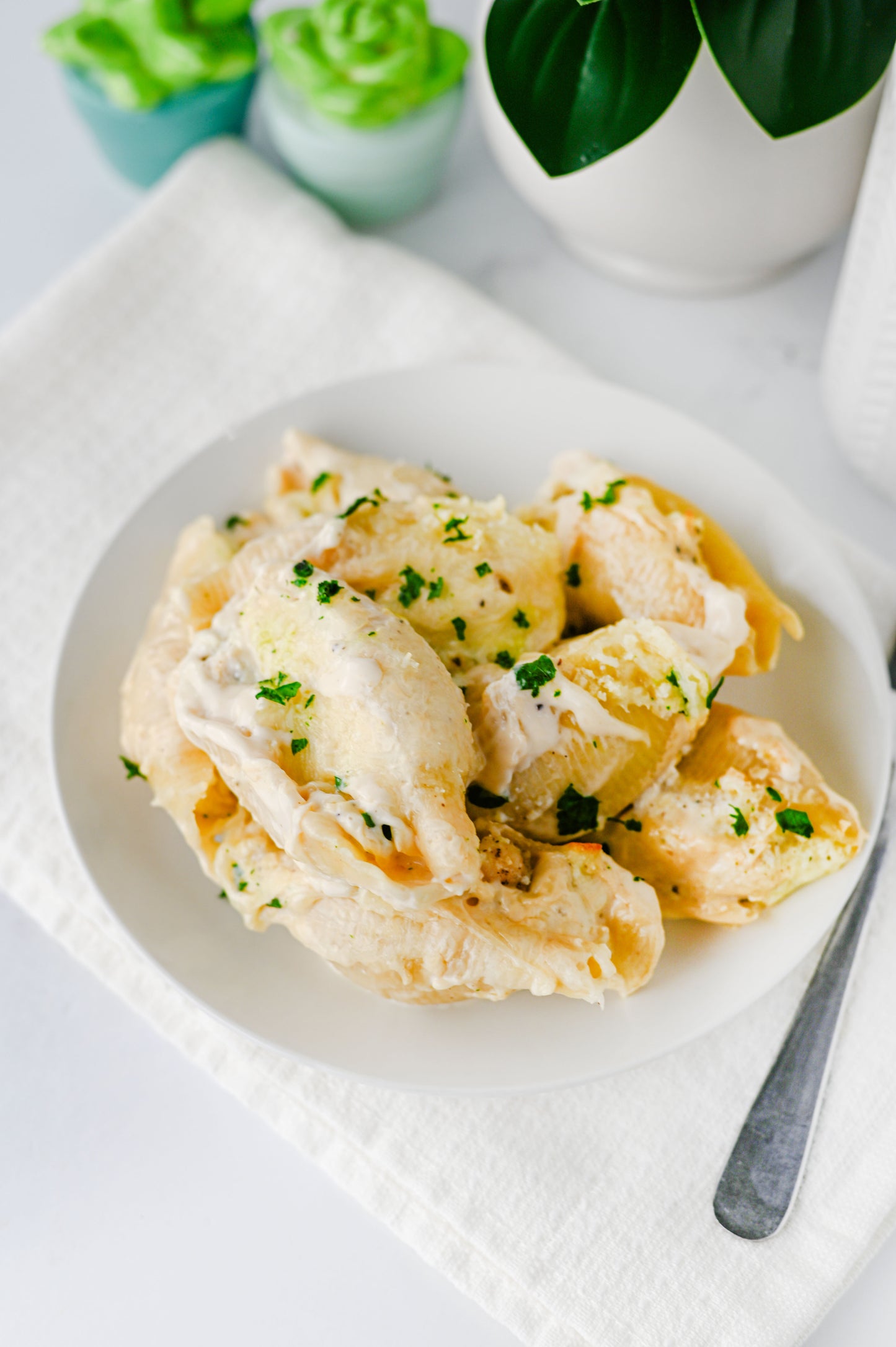 Alfredo Stuffed Shells Set #4