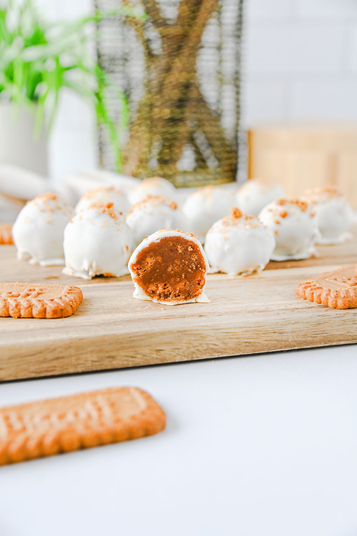 Biscoff Truffles Set #4