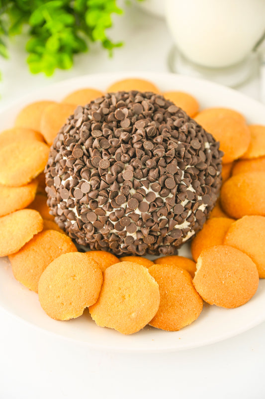 Chocolate Chip Cheese Ball Set #4