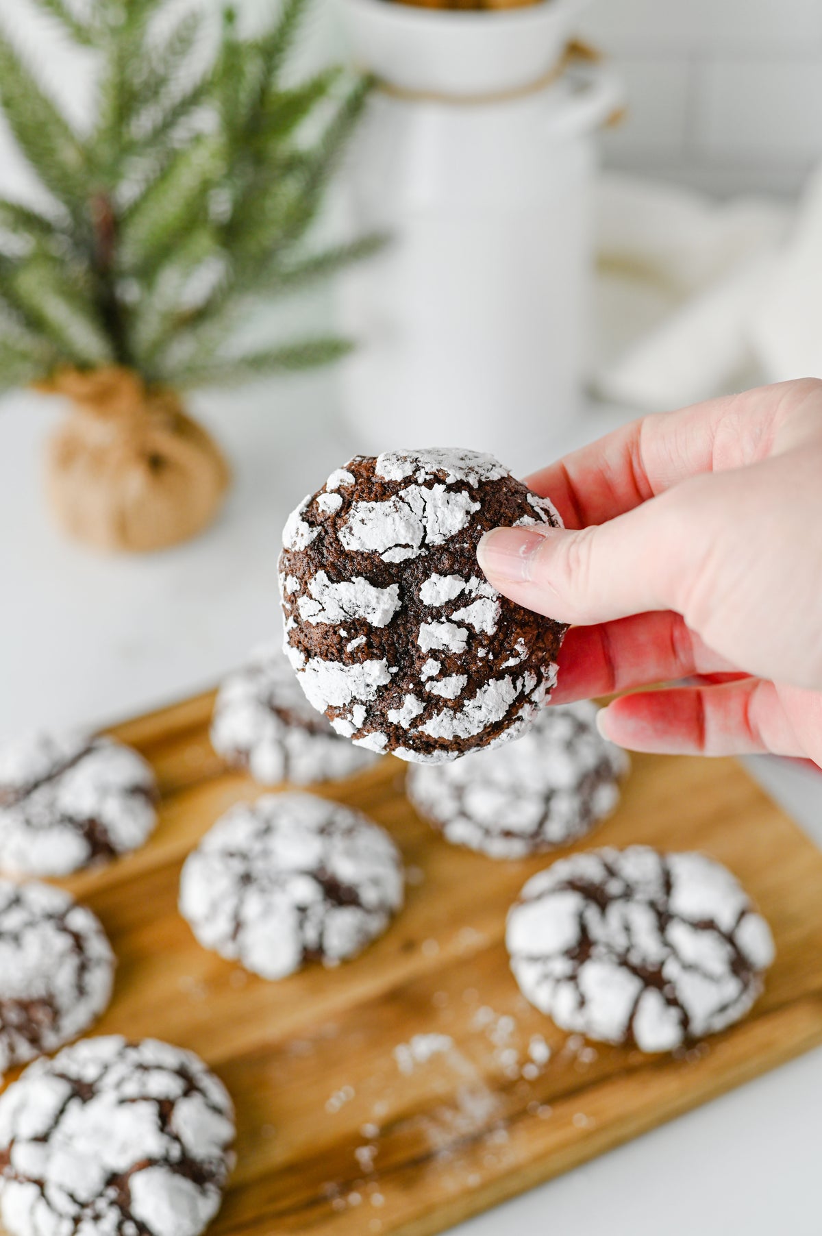 Chocolate Crinkle Cookies Set #4