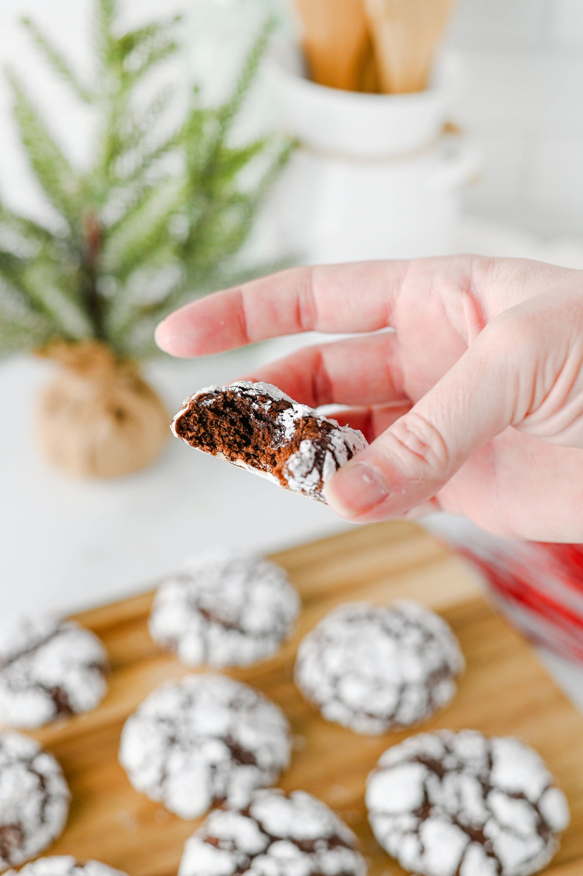 Chocolate Crinkle Cookies Set #4