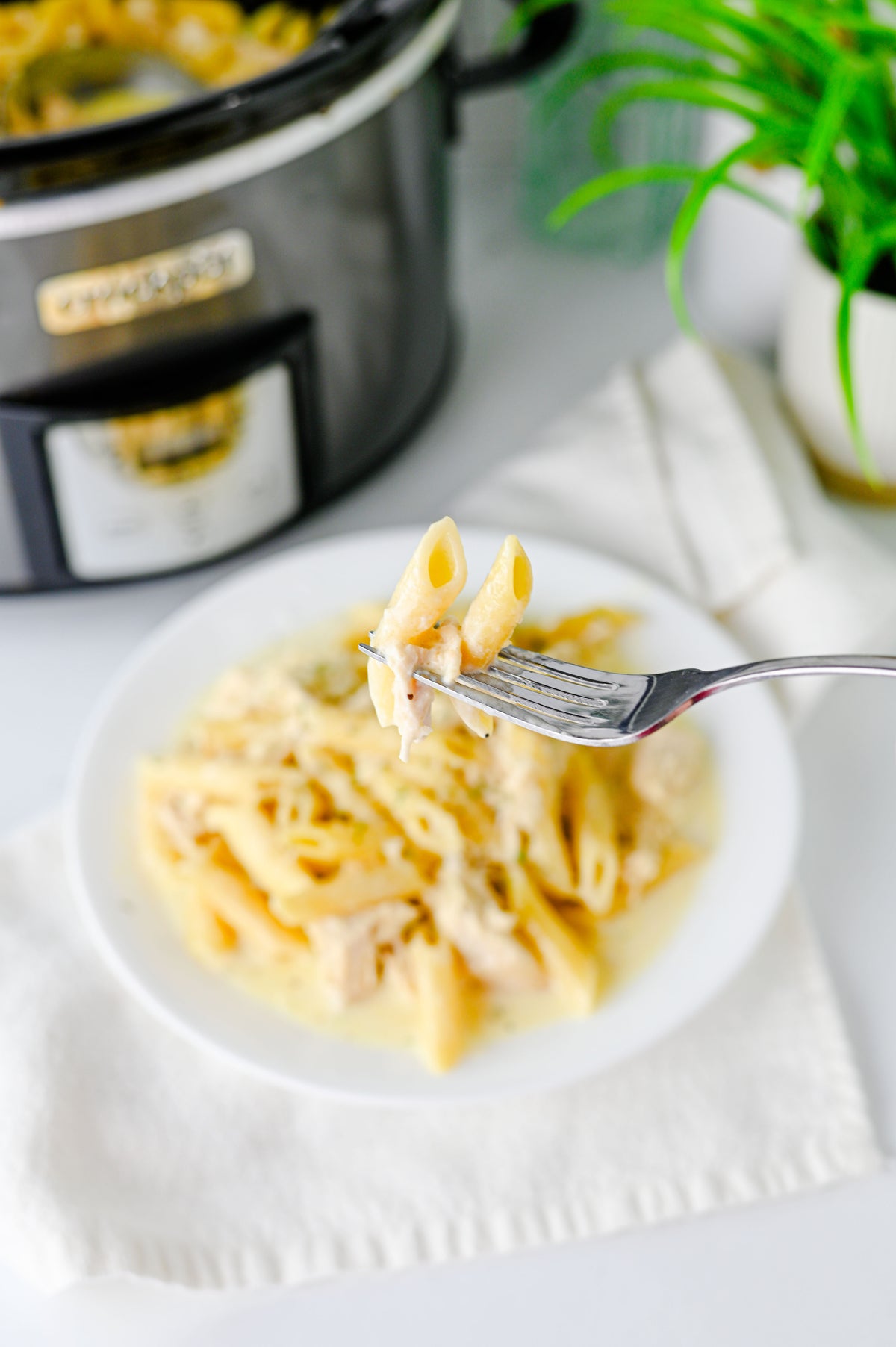 Crock Pot Chicken Alfredo Set #4
