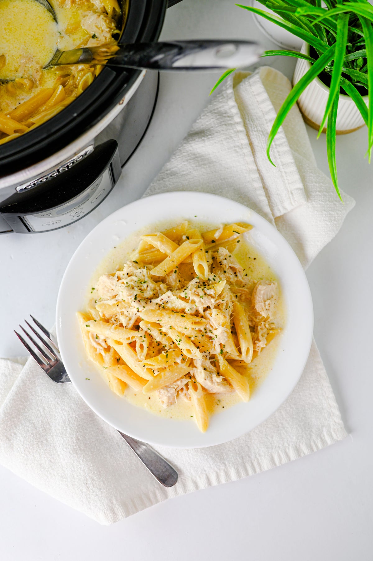 Crock Pot Chicken Alfredo Set #4