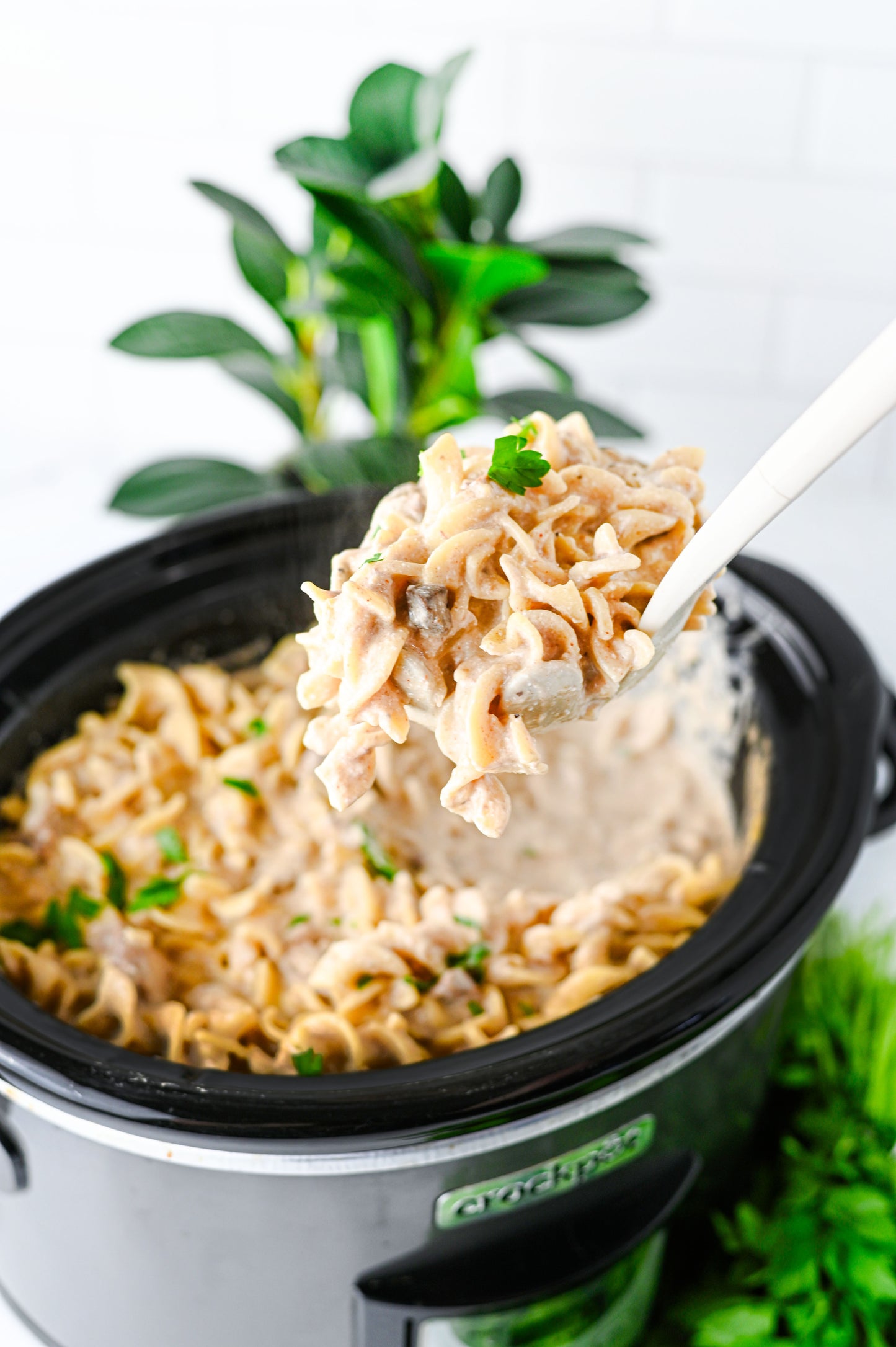 Crock Pot Beef Stroganoff Set #4