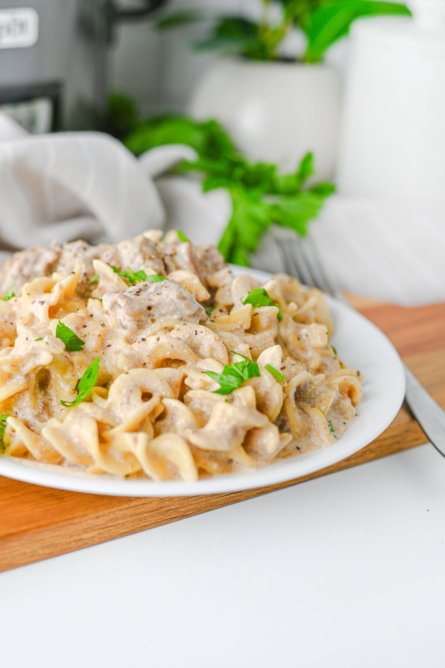 Crock Pot Beef Stroganoff Set #4