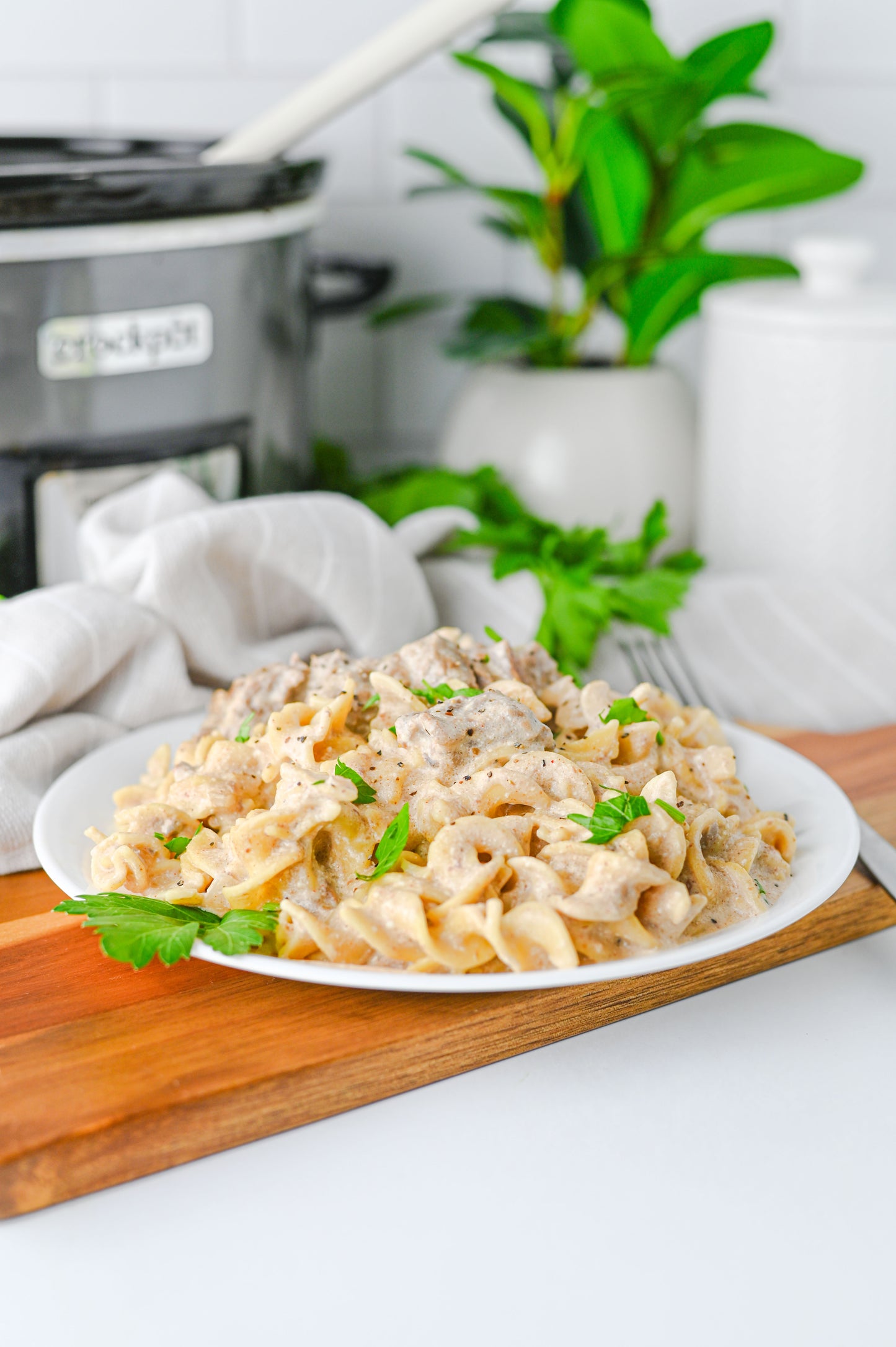 Crock Pot Beef Stroganoff Set #4