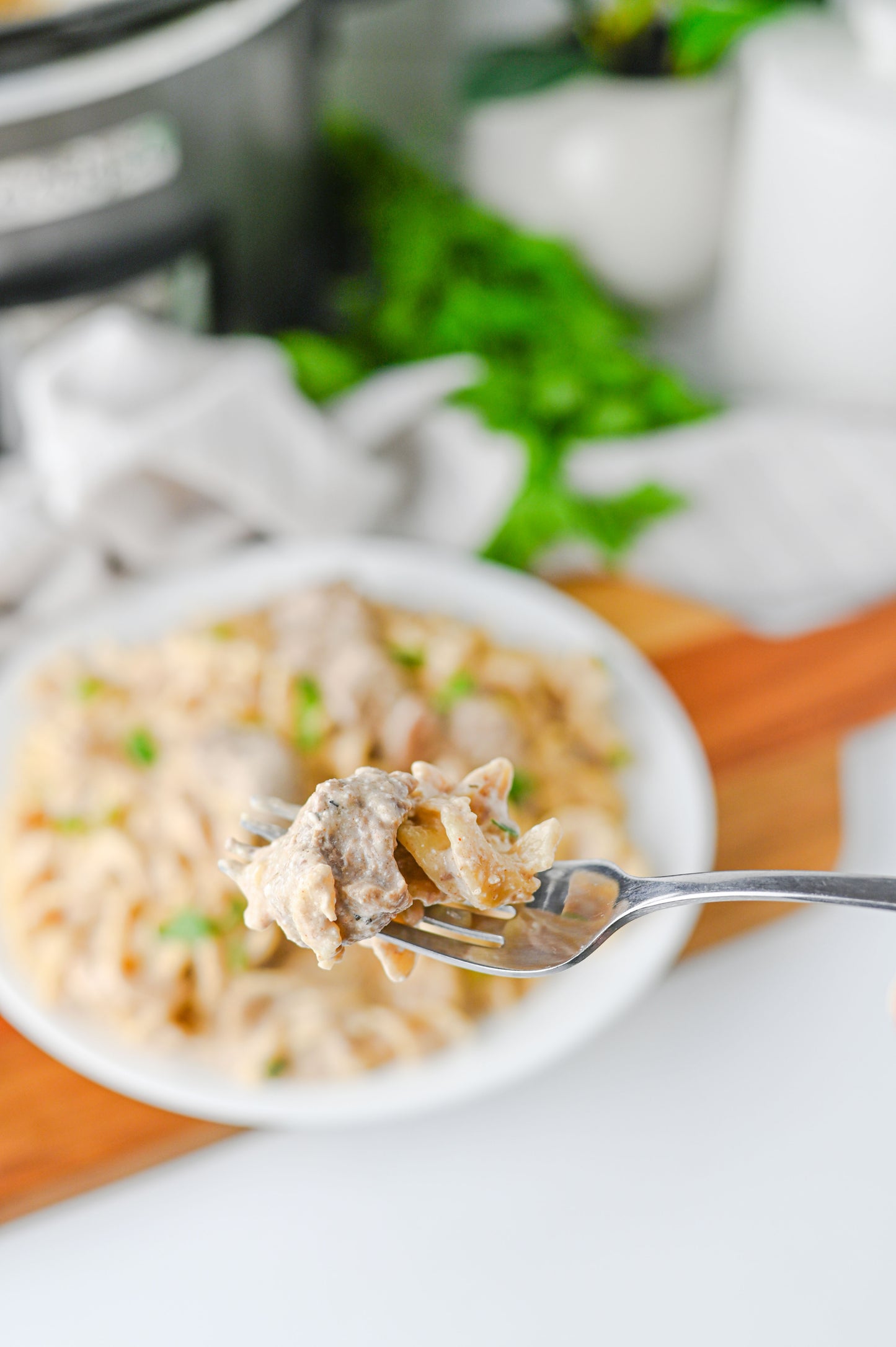 Crock Pot Beef Stroganoff Set #4