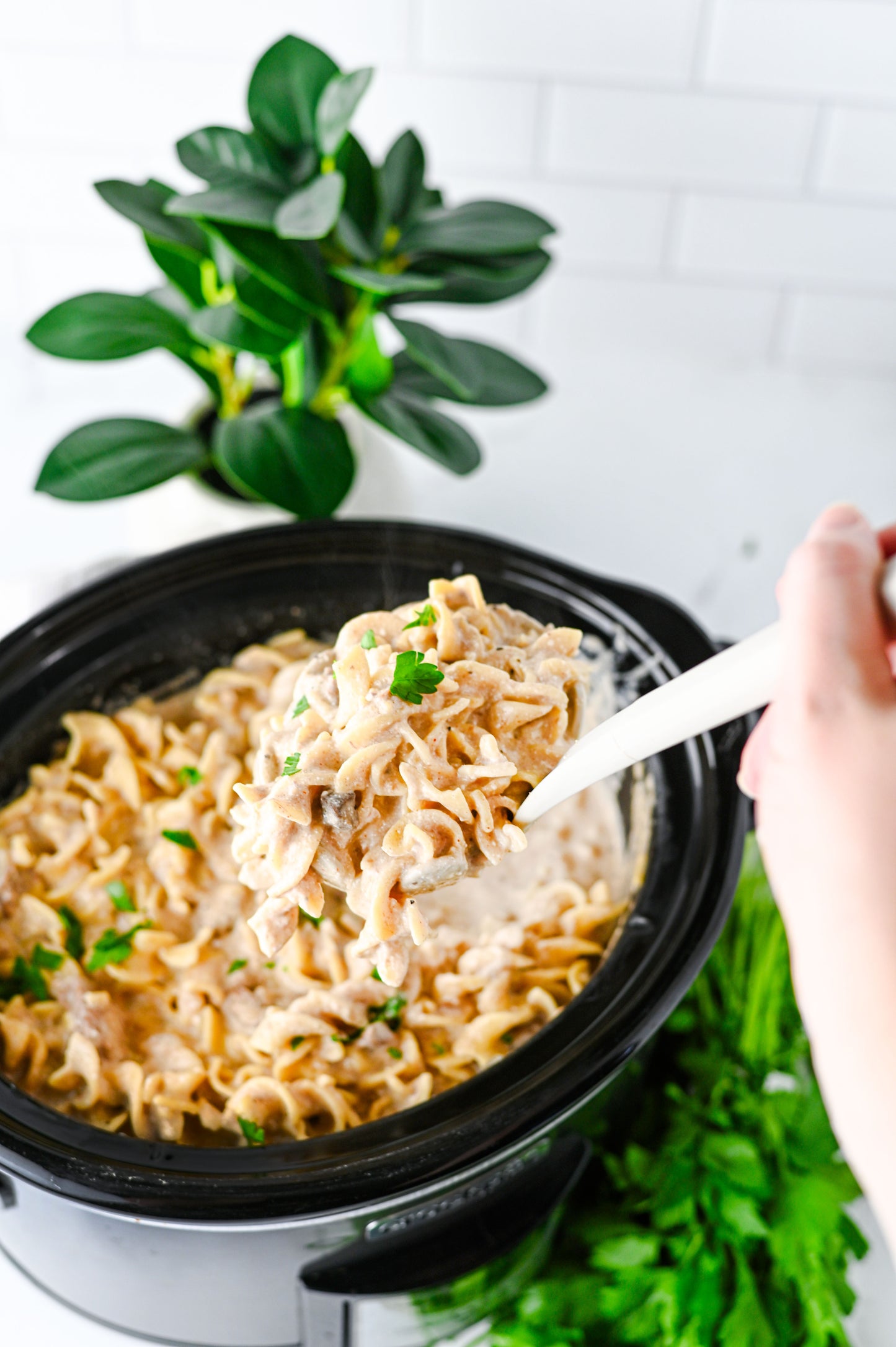 Crock Pot Beef Stroganoff Set #4