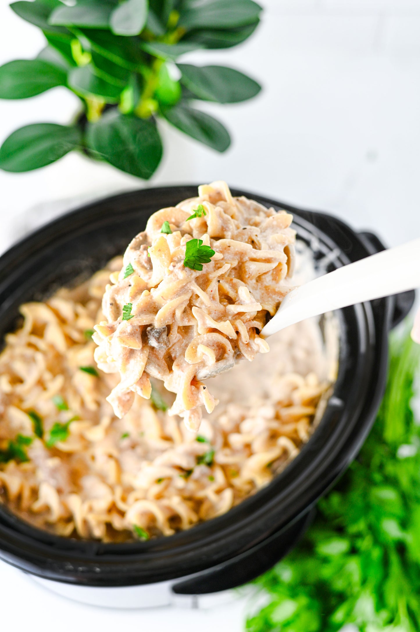 Crock Pot Beef Stroganoff Set #4