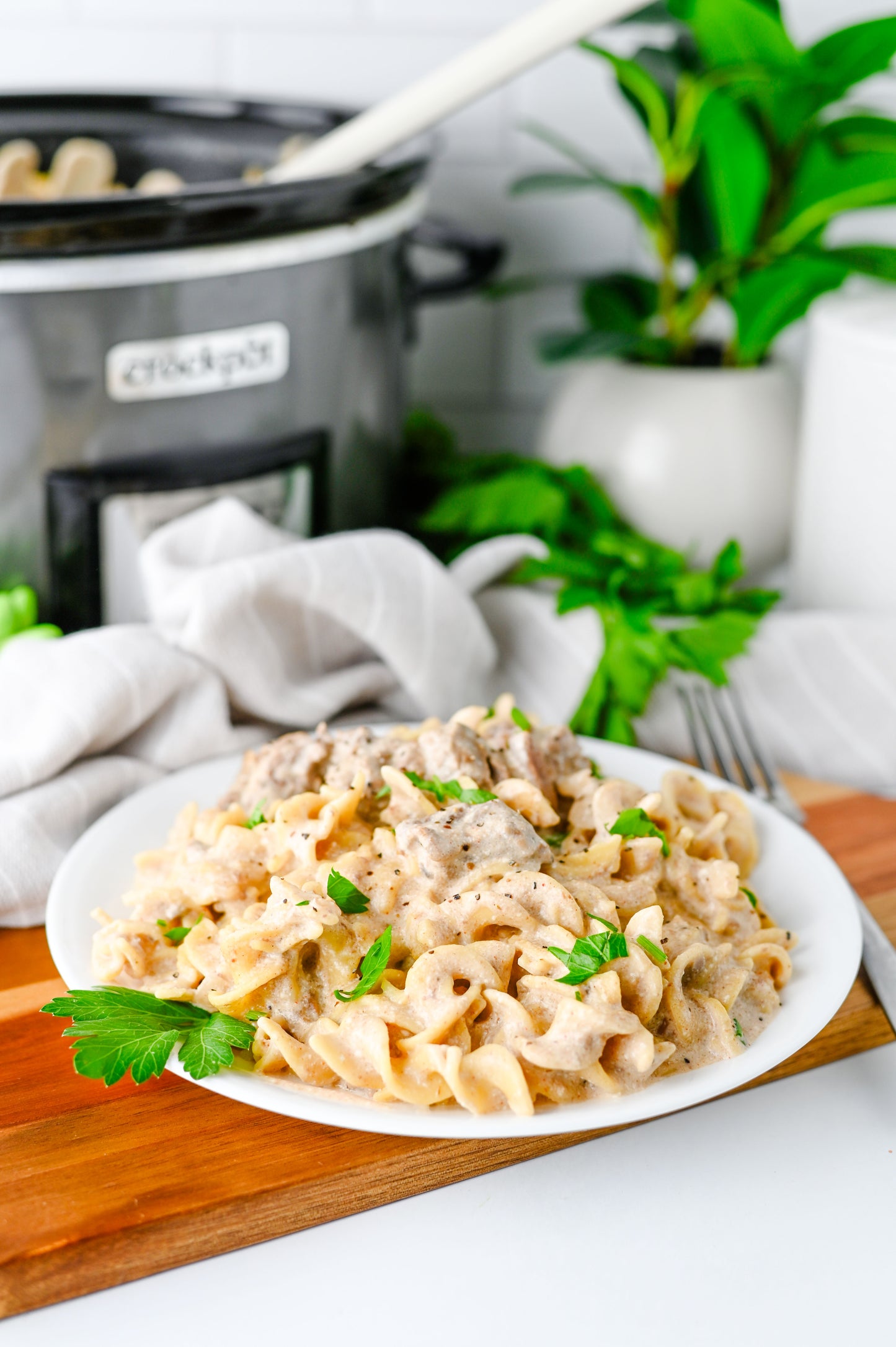 Crock Pot Beef Stroganoff Set #4