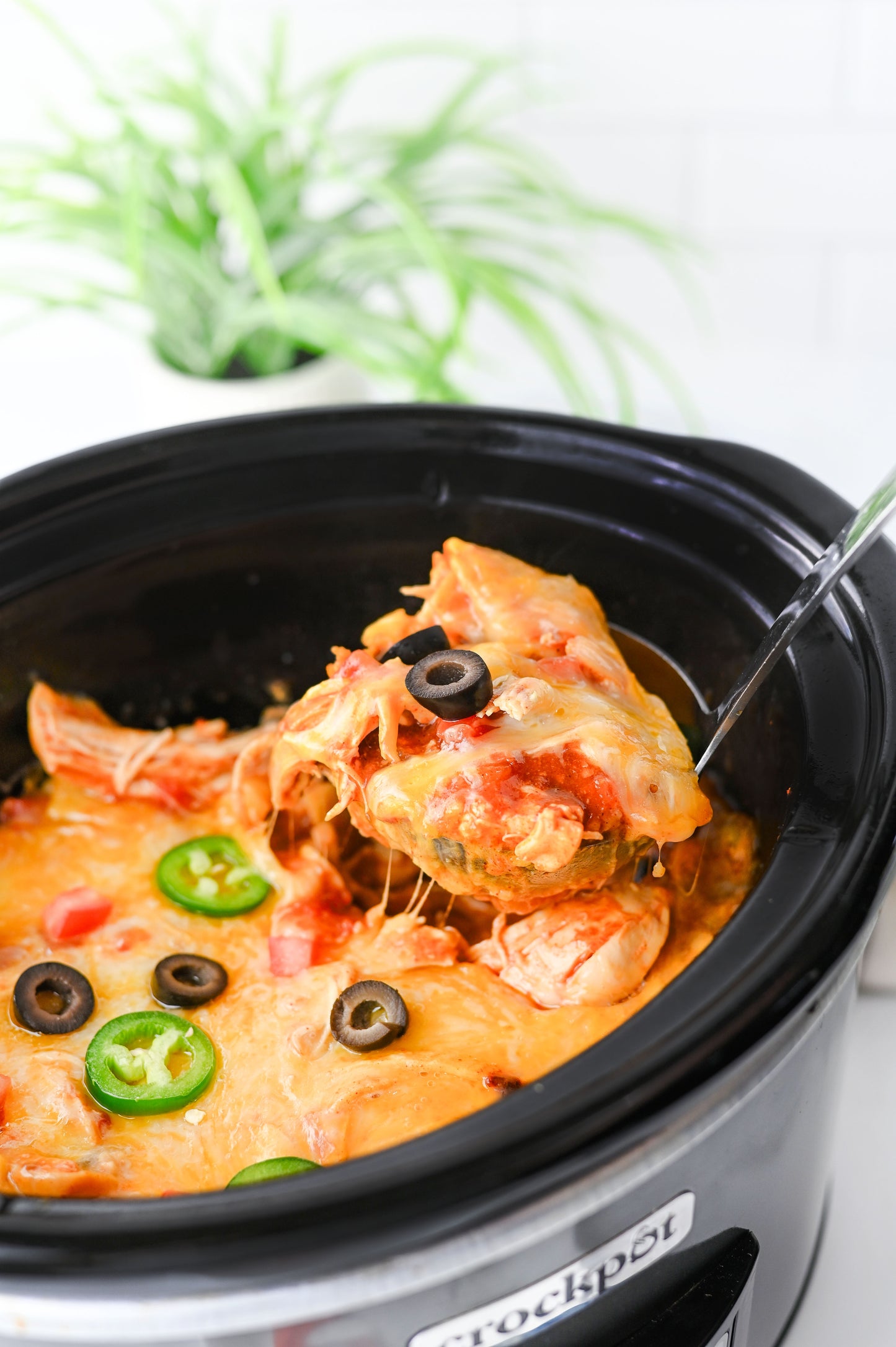 Crock Pot Enchiladas/Enchilada Casserole #4