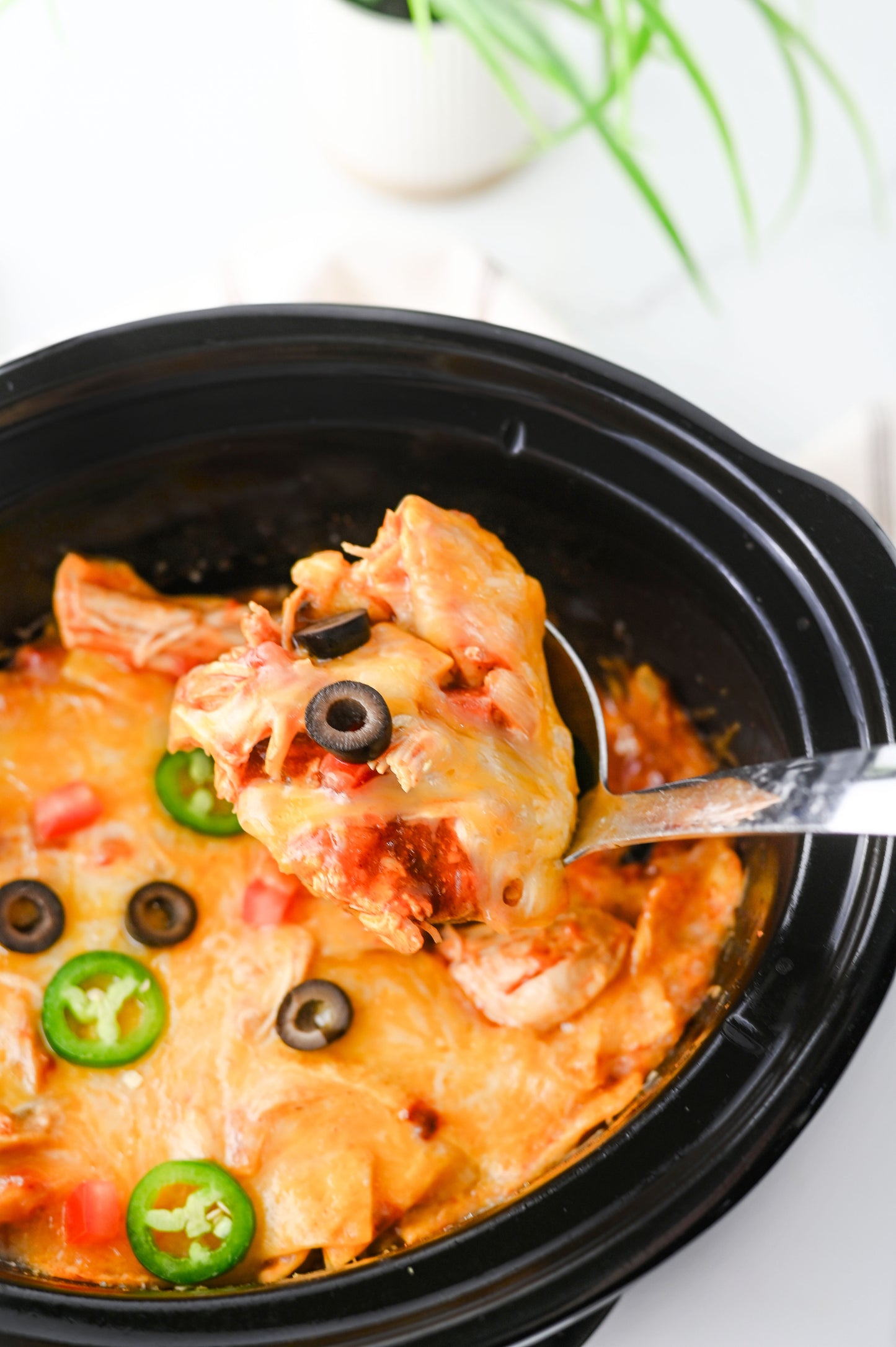 Crock Pot Enchiladas/Enchilada Casserole #4