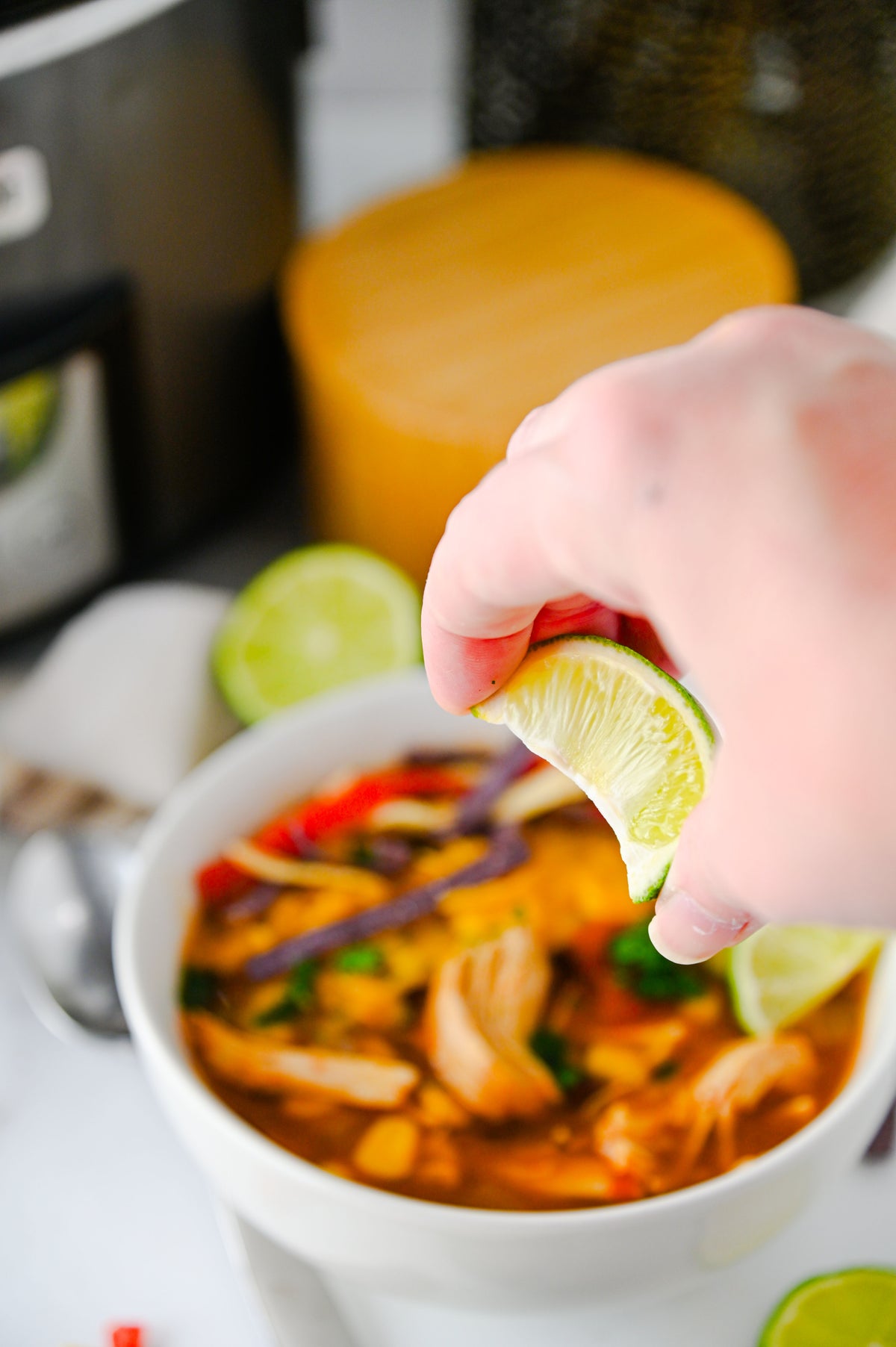 Slow Cooker Enchilada Soup Set #4