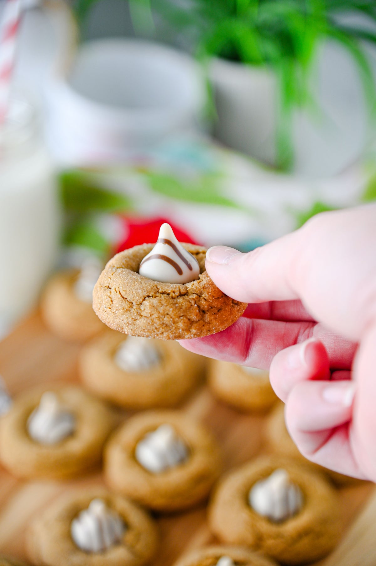 Gingerbread Kiss Cookies Set #4
