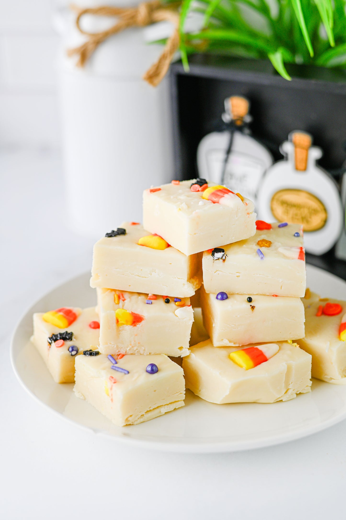 Halloween Fudge Set #4