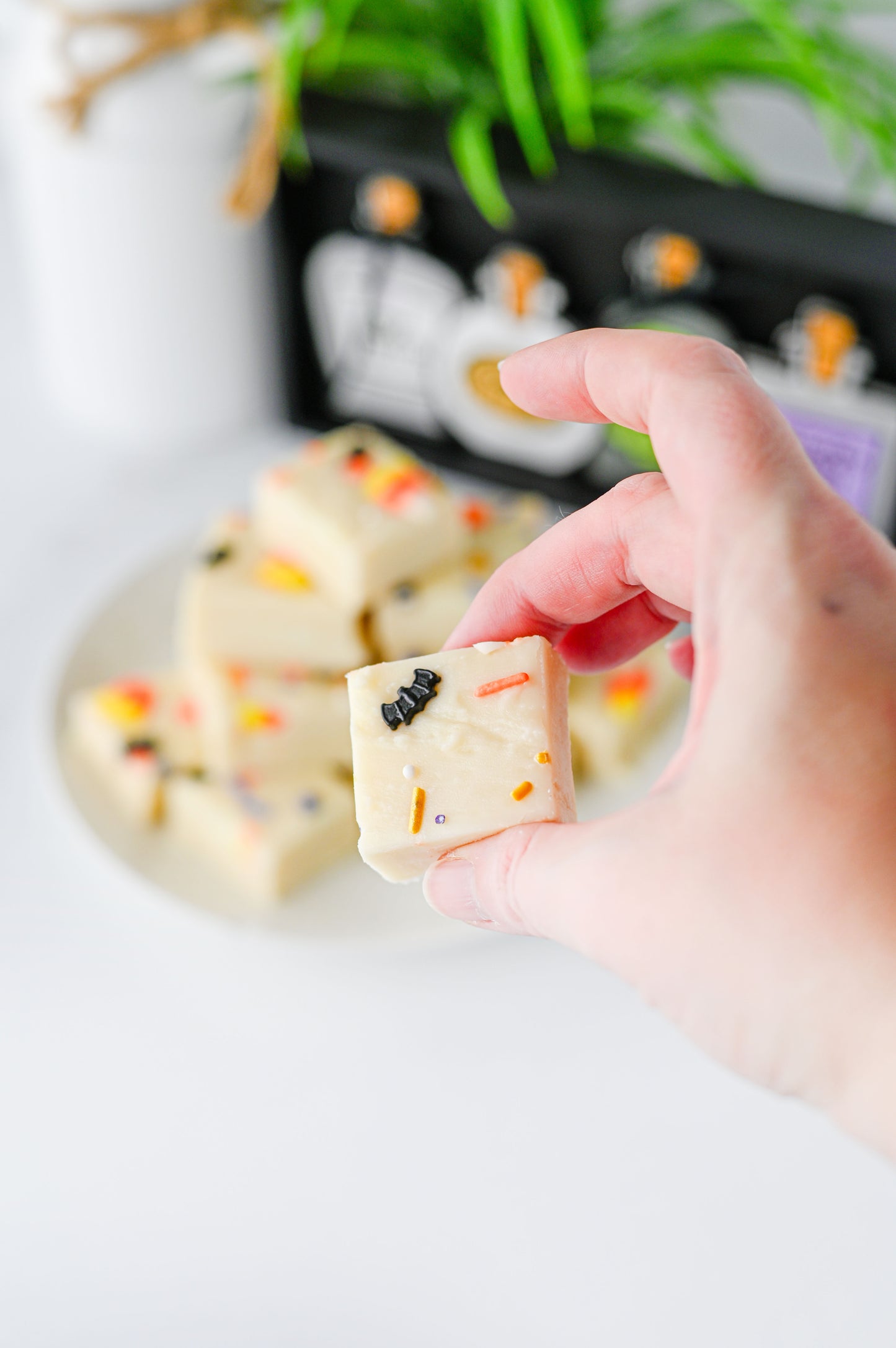 Halloween Fudge Set #4