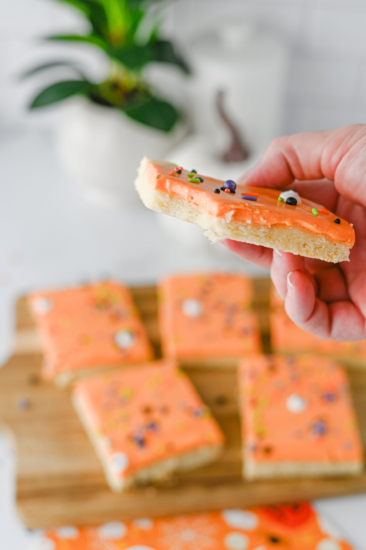 Halloween Sugar Cookie Bars Set #4