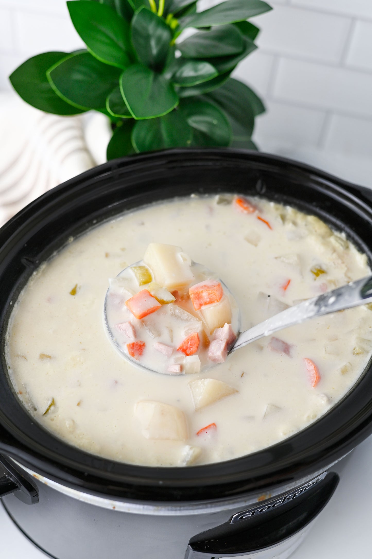 Slow Cooker Ham and Potato Soup Set #4