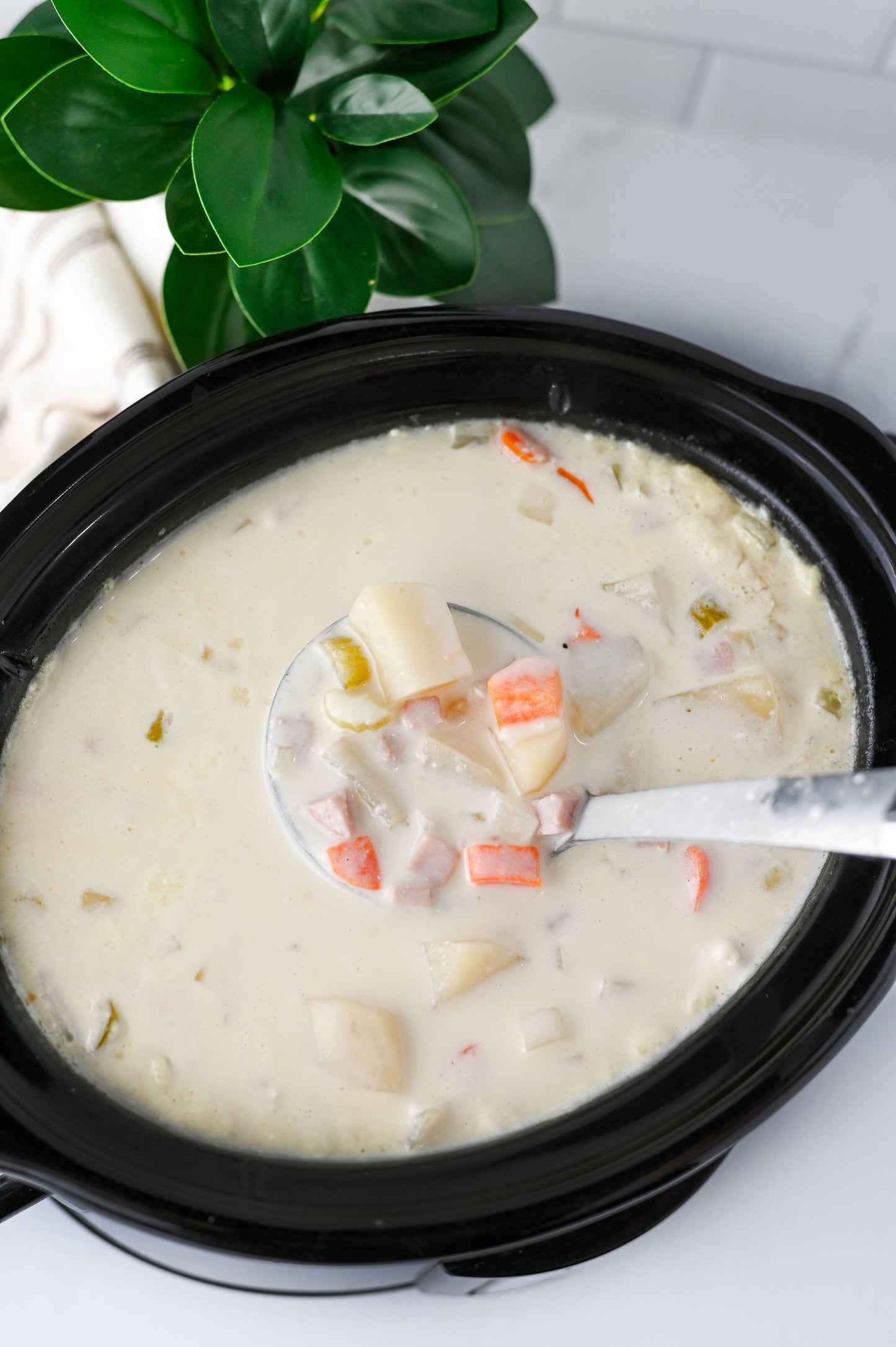 Slow Cooker Ham and Potato Soup Set #4