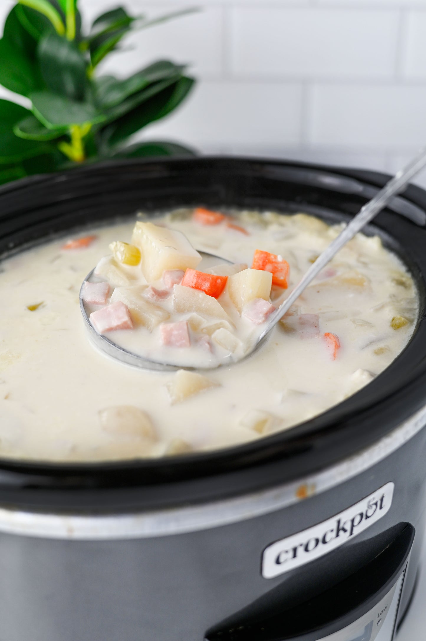 Slow Cooker Ham and Potato Soup Set #4