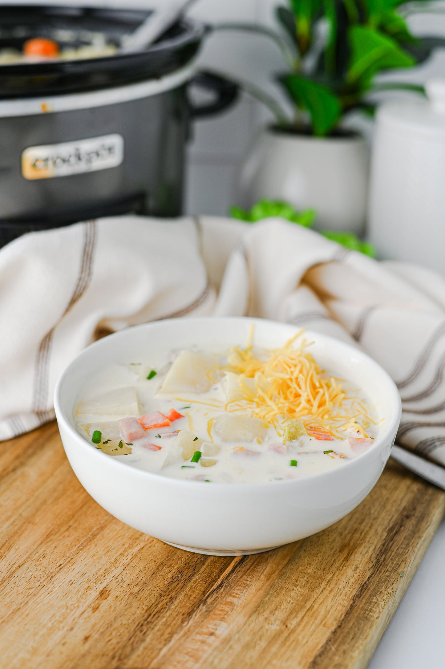 Slow Cooker Ham and Potato Soup Set #4