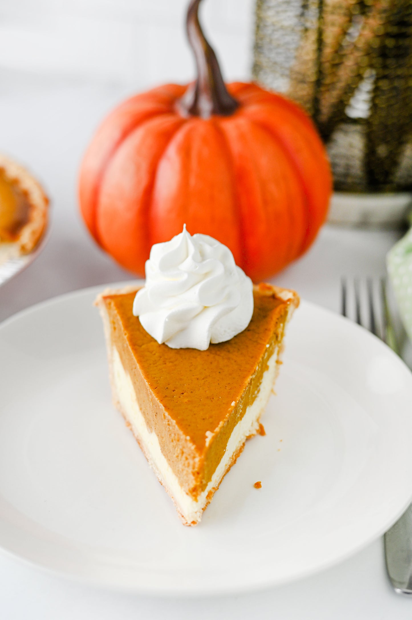 Pumpkin Cheesecake Pie Set #4