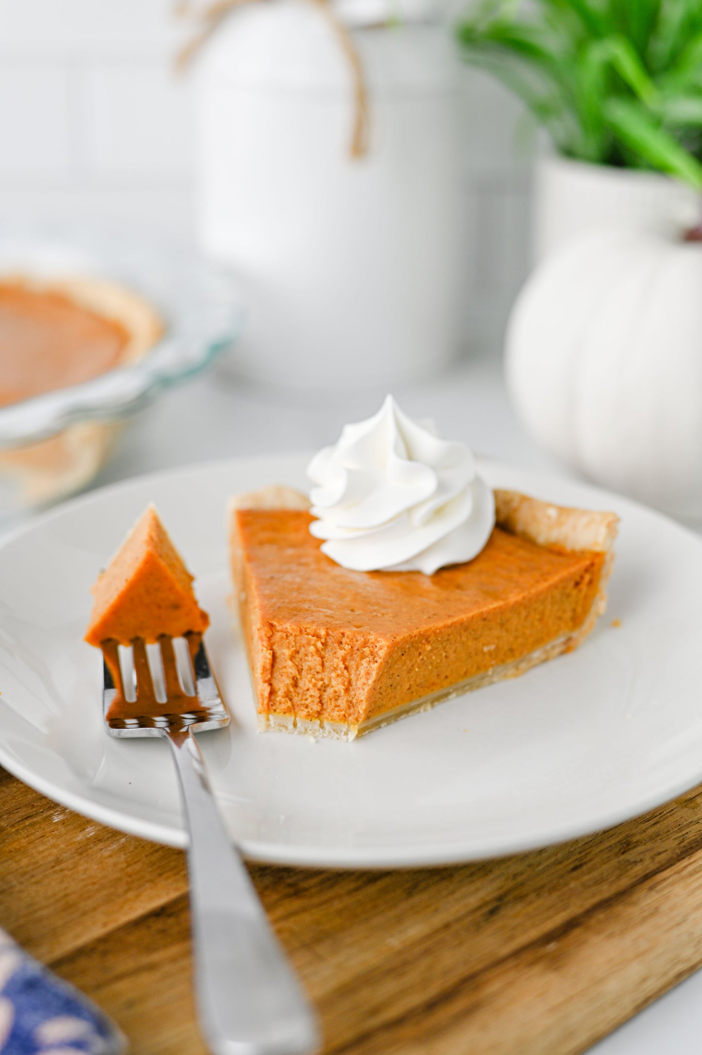 Easy Pumpkin Pie Set #4