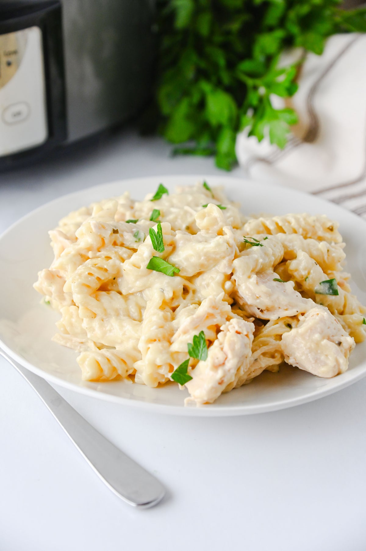 Slow Cooker Ranch Chicken Set #4